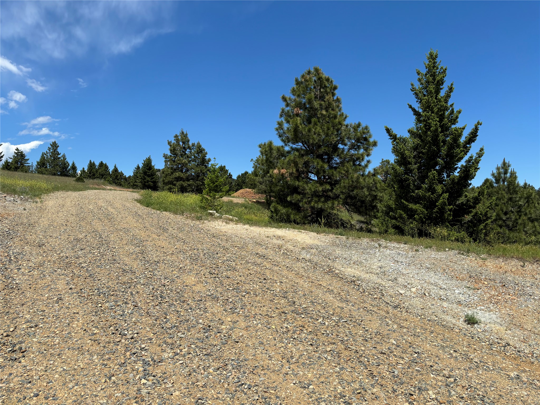 16 Mule Trail Road Property Photo 10