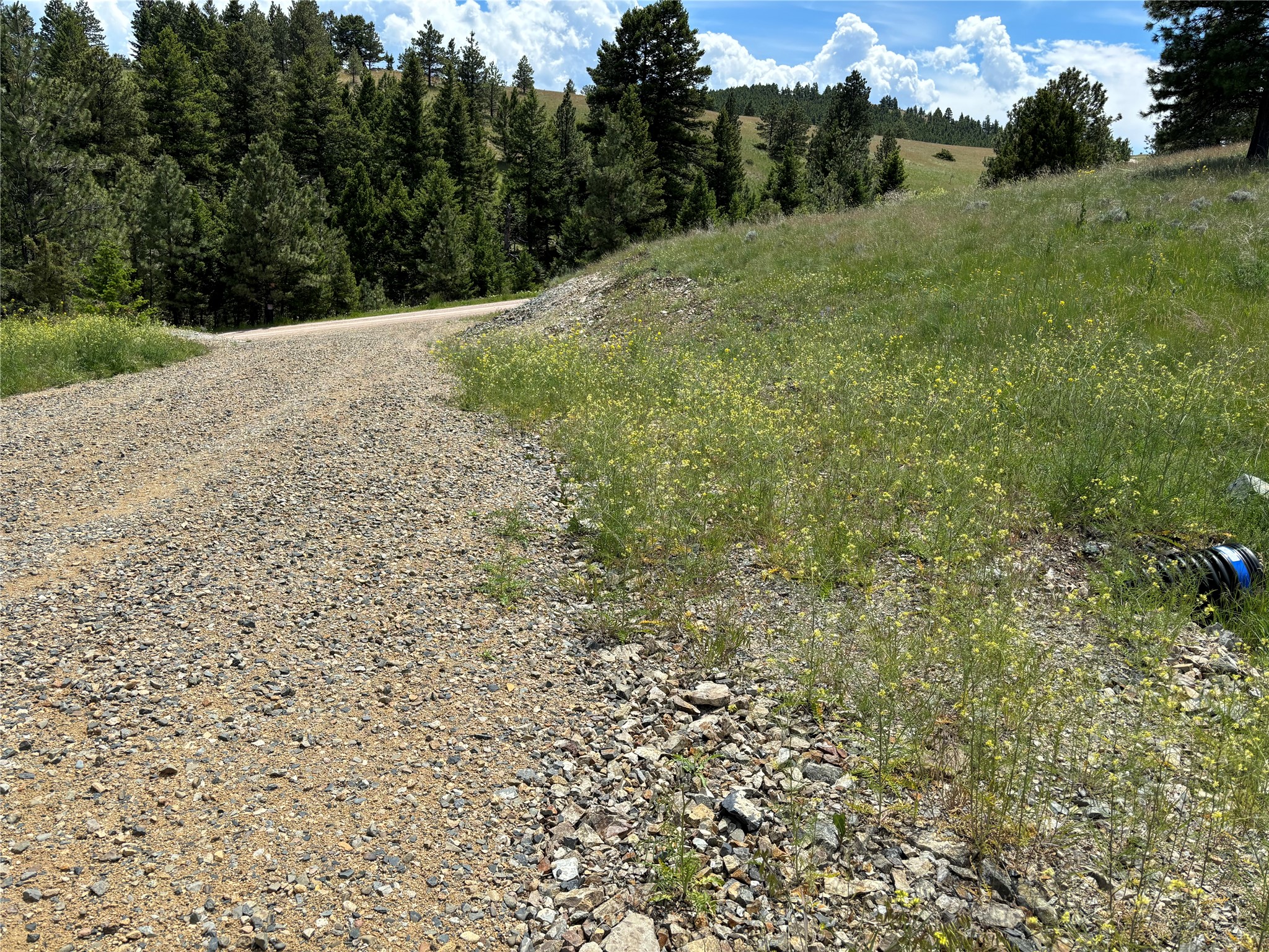 16 Mule Trail Road Property Photo 46
