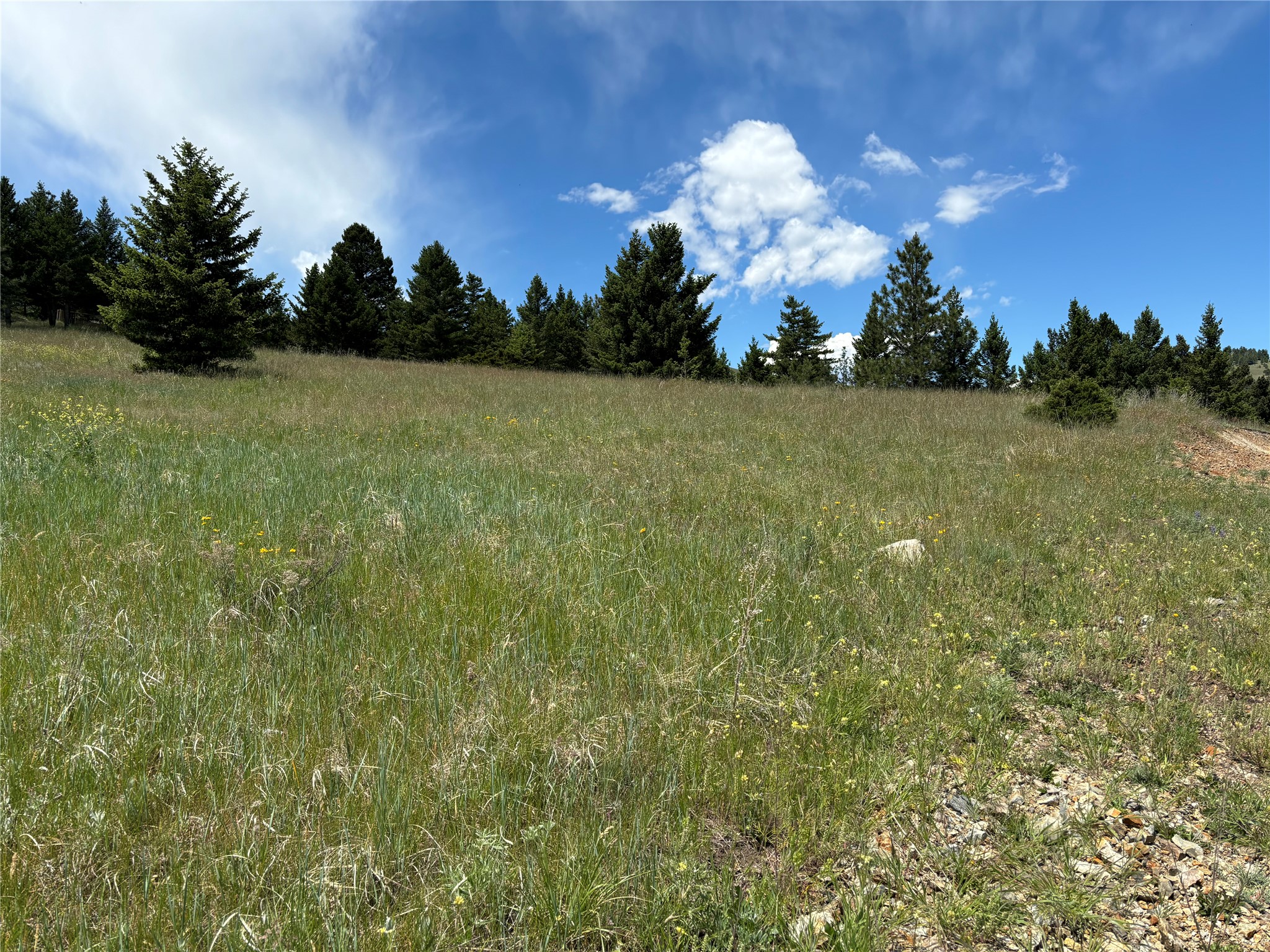 16 Mule Trail Road Property Photo 48