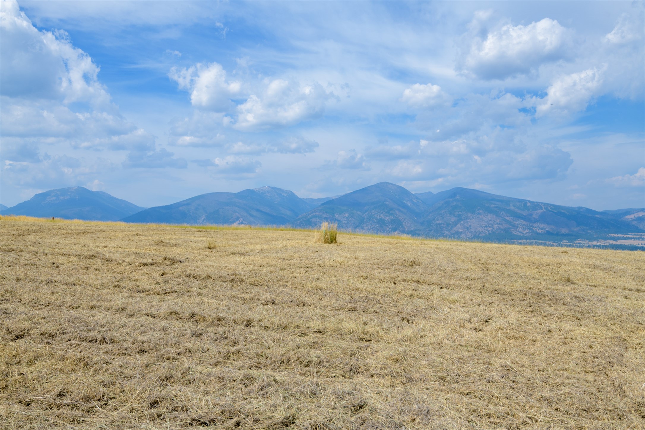 159 Prickly Pear Court Property Photo 7
