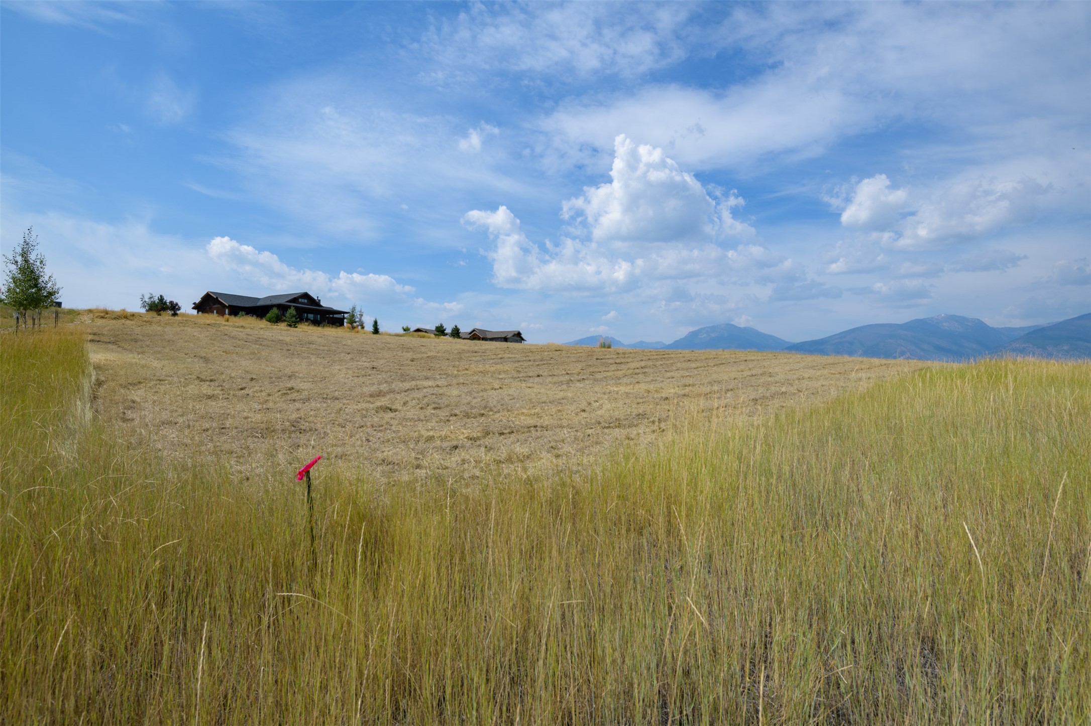 159 Prickly Pear Court Property Photo 8