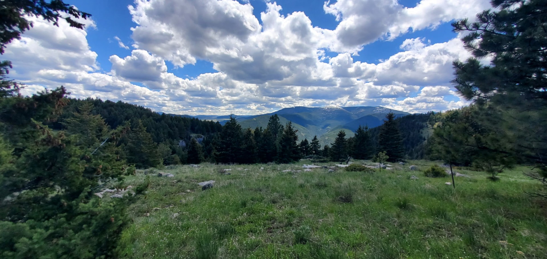 Tbd Logging Creek Road Property Photo 1
