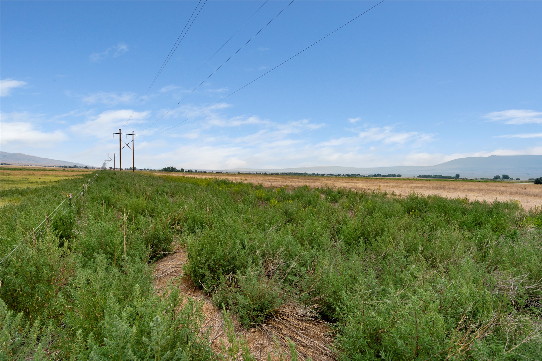 59 Grandview Loop Property Photo 35
