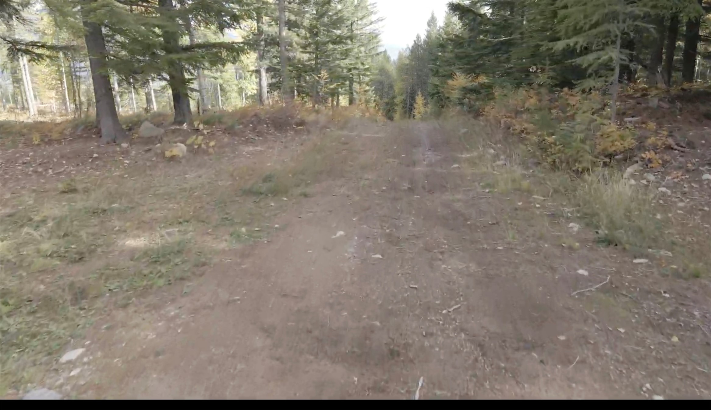 105 Highland Meadows Road Property Photo 15