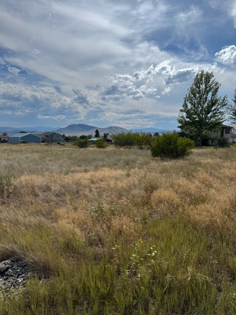 1145 Terrence Road Property Photo 1