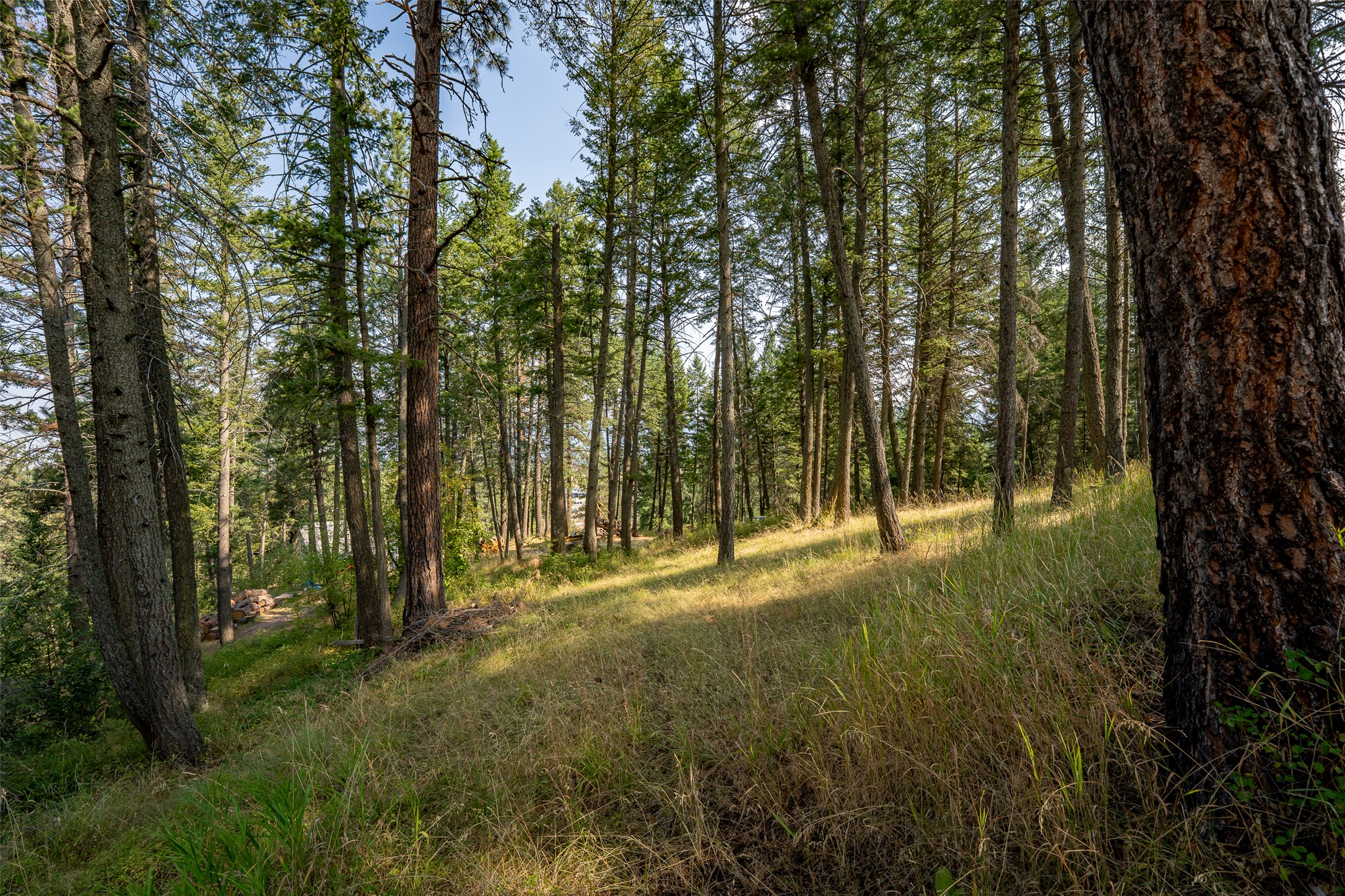 2790 Mt Highway 82 Property Photo 8