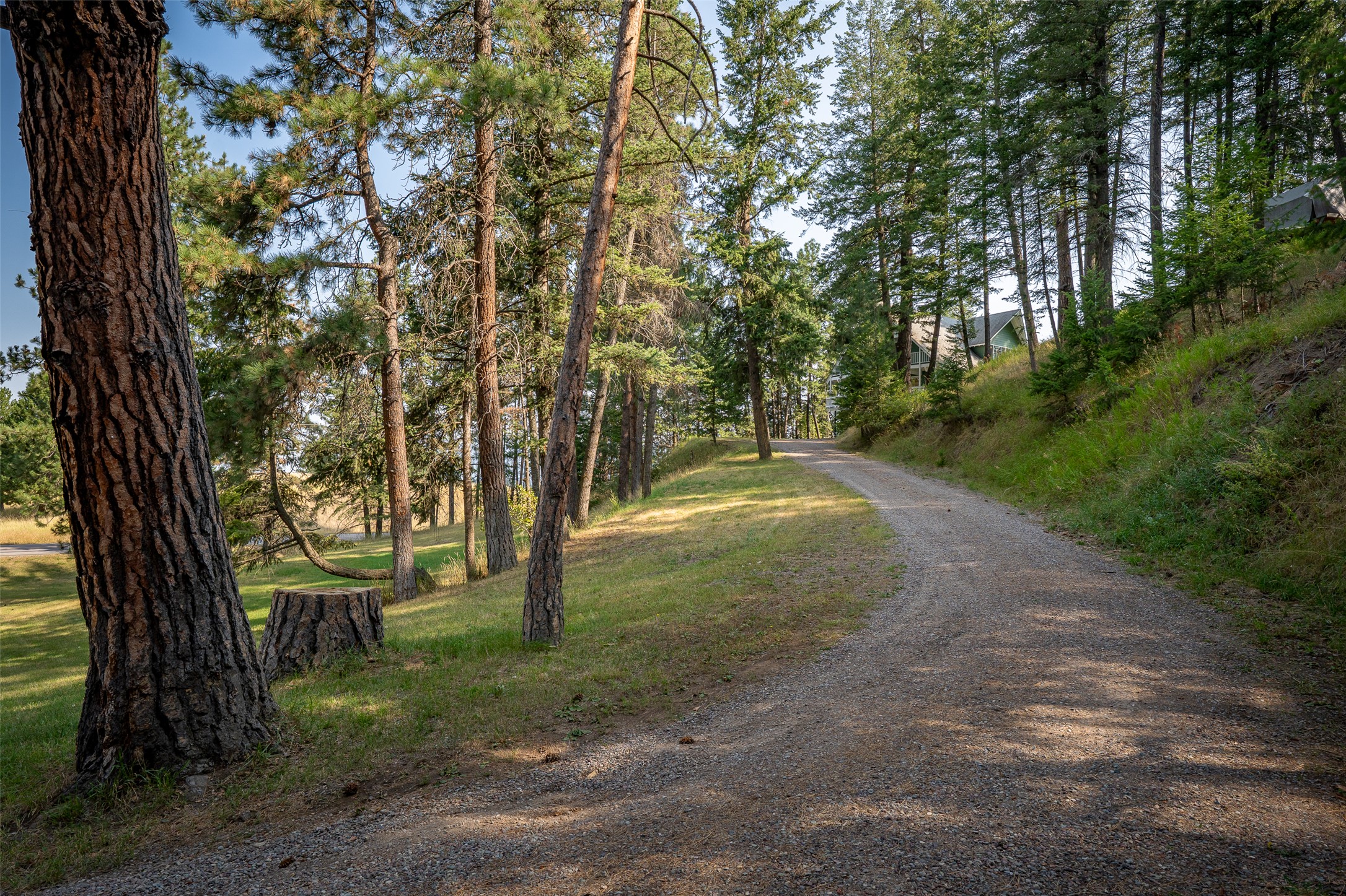 2790 Mt Highway 82 Property Photo 9