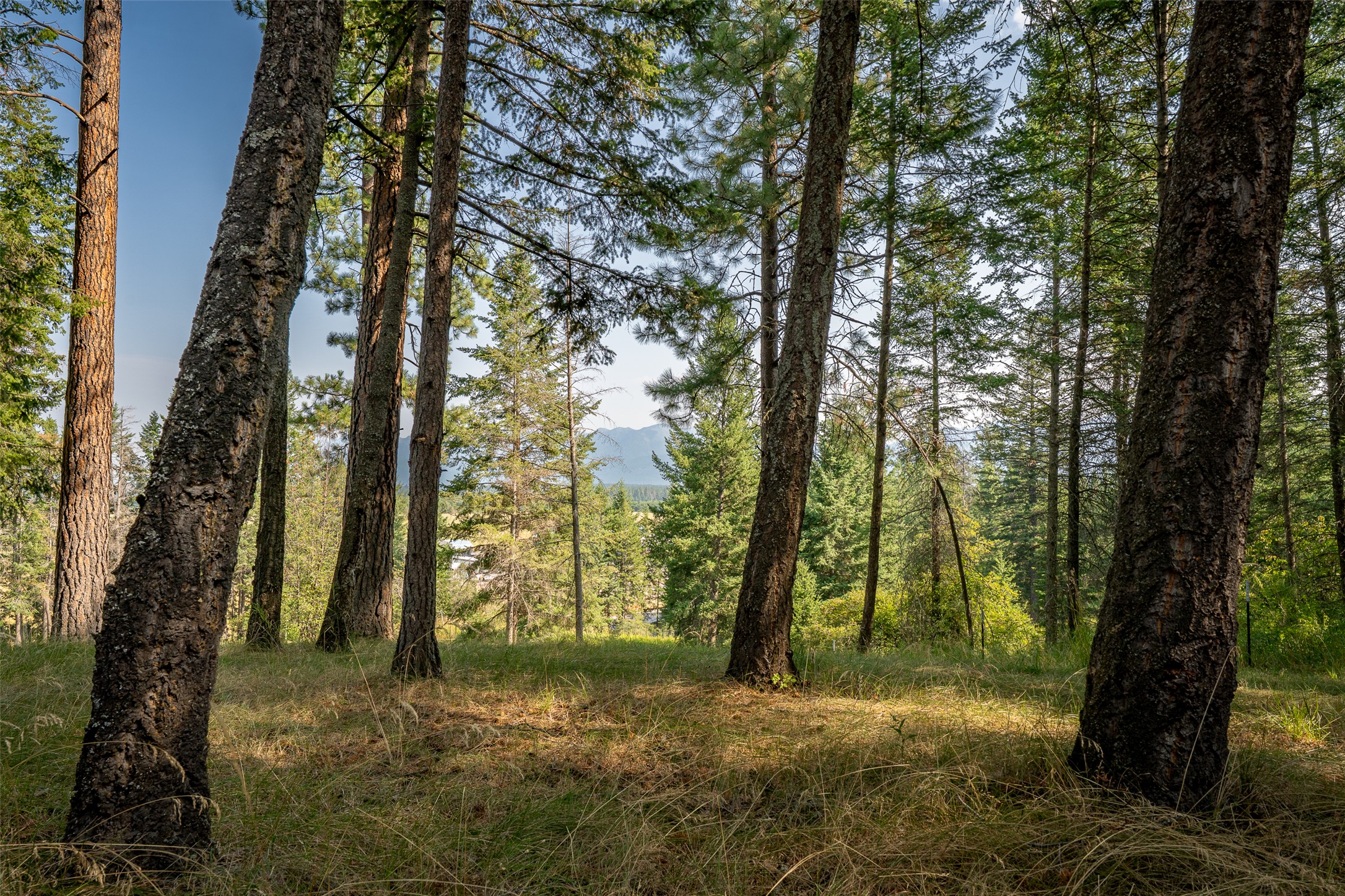 2790 Mt Highway 82 Property Photo 64