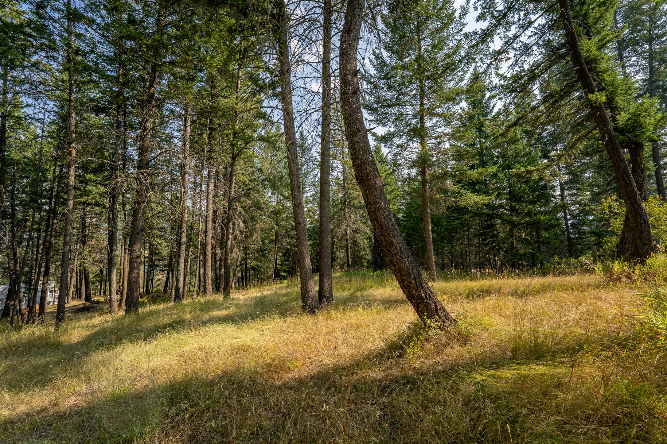 2790 Mt Highway 82 Property Photo 66