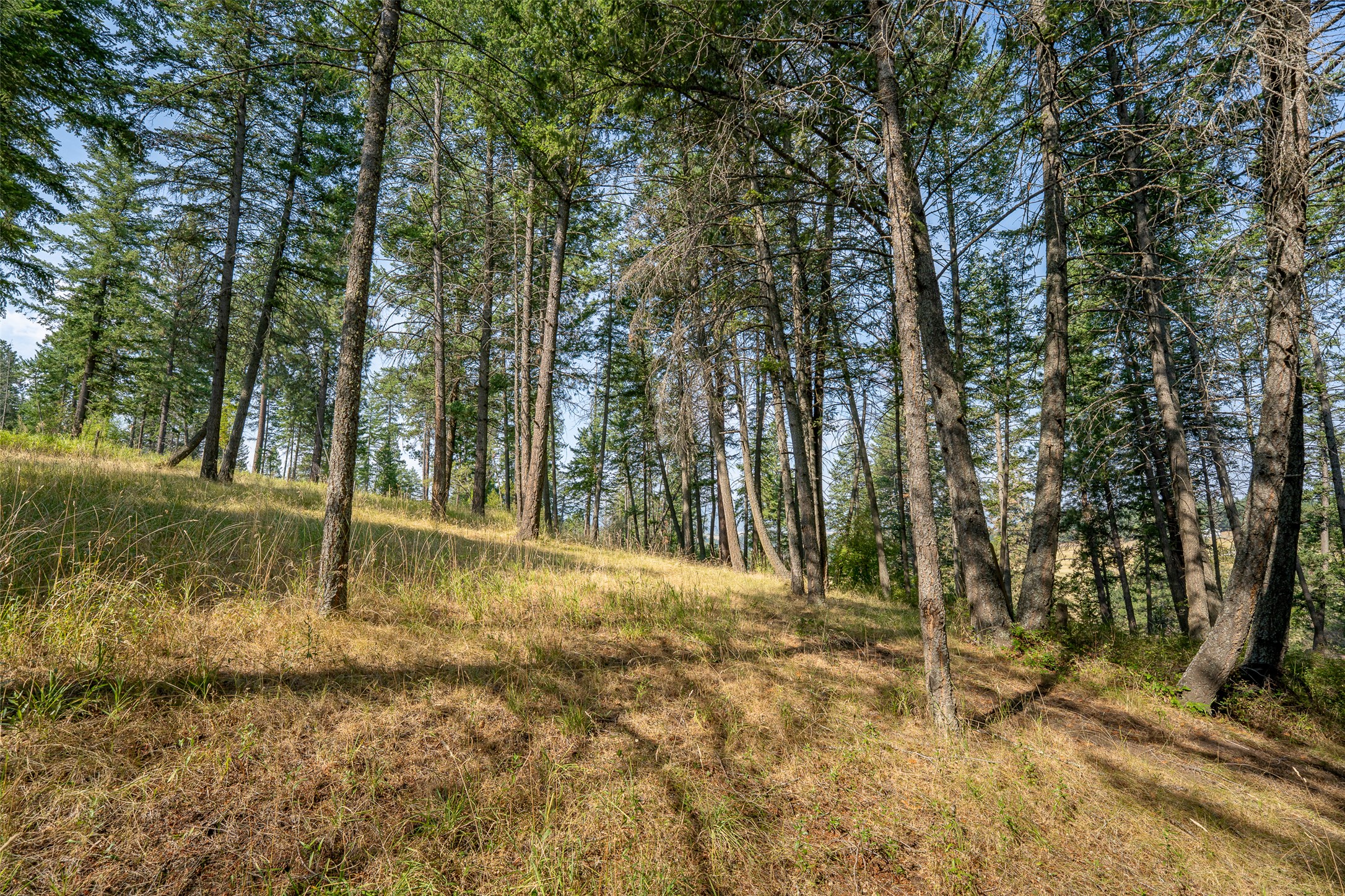2790 Mt Highway 82 Property Photo 67