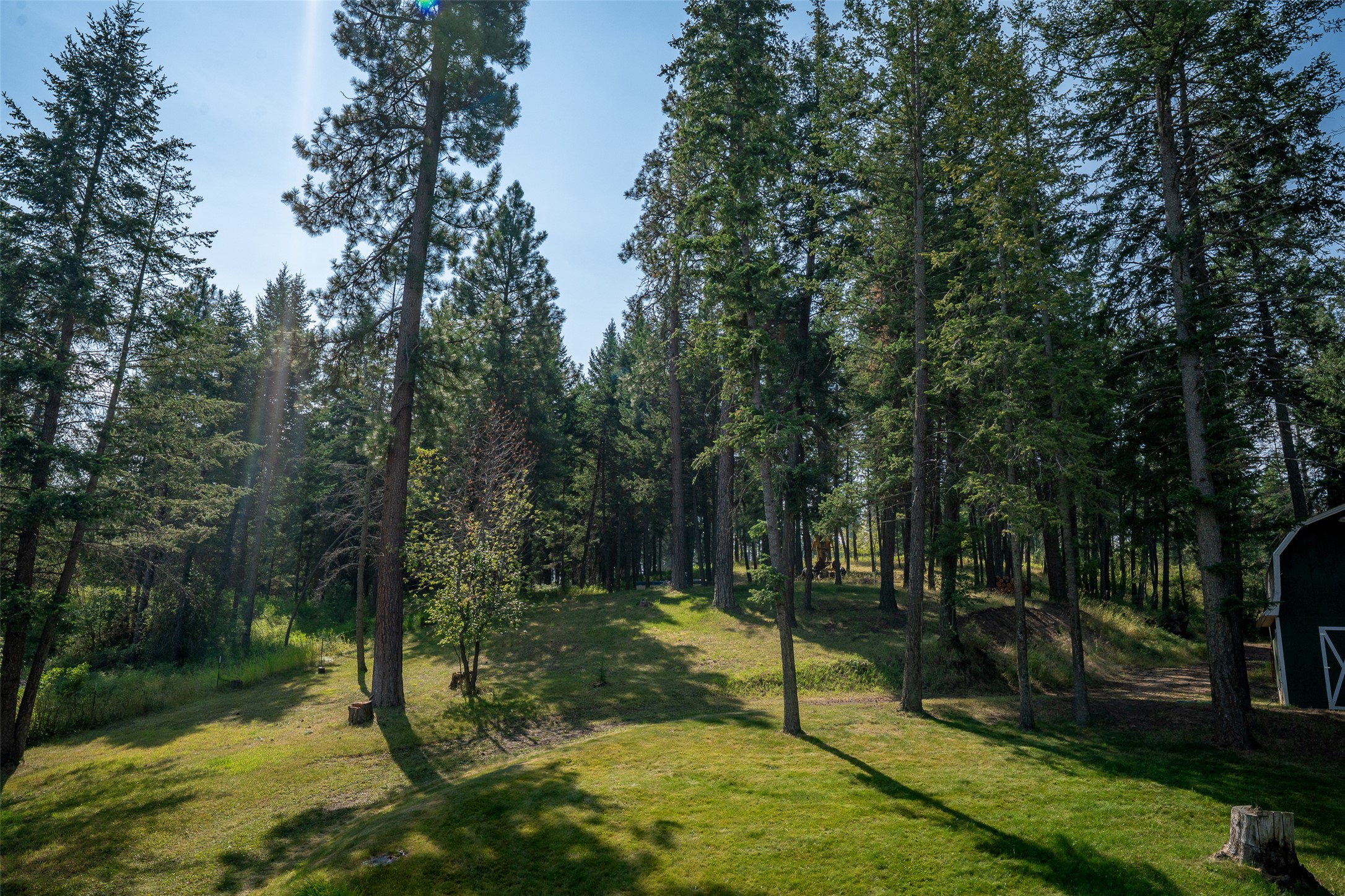 2790 Mt Highway 82 Property Photo 69