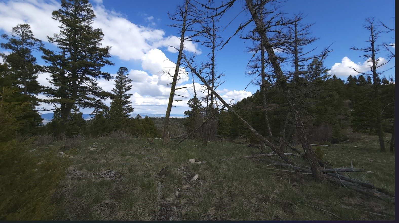 10 & 11 Bull Elk Property Photo 5