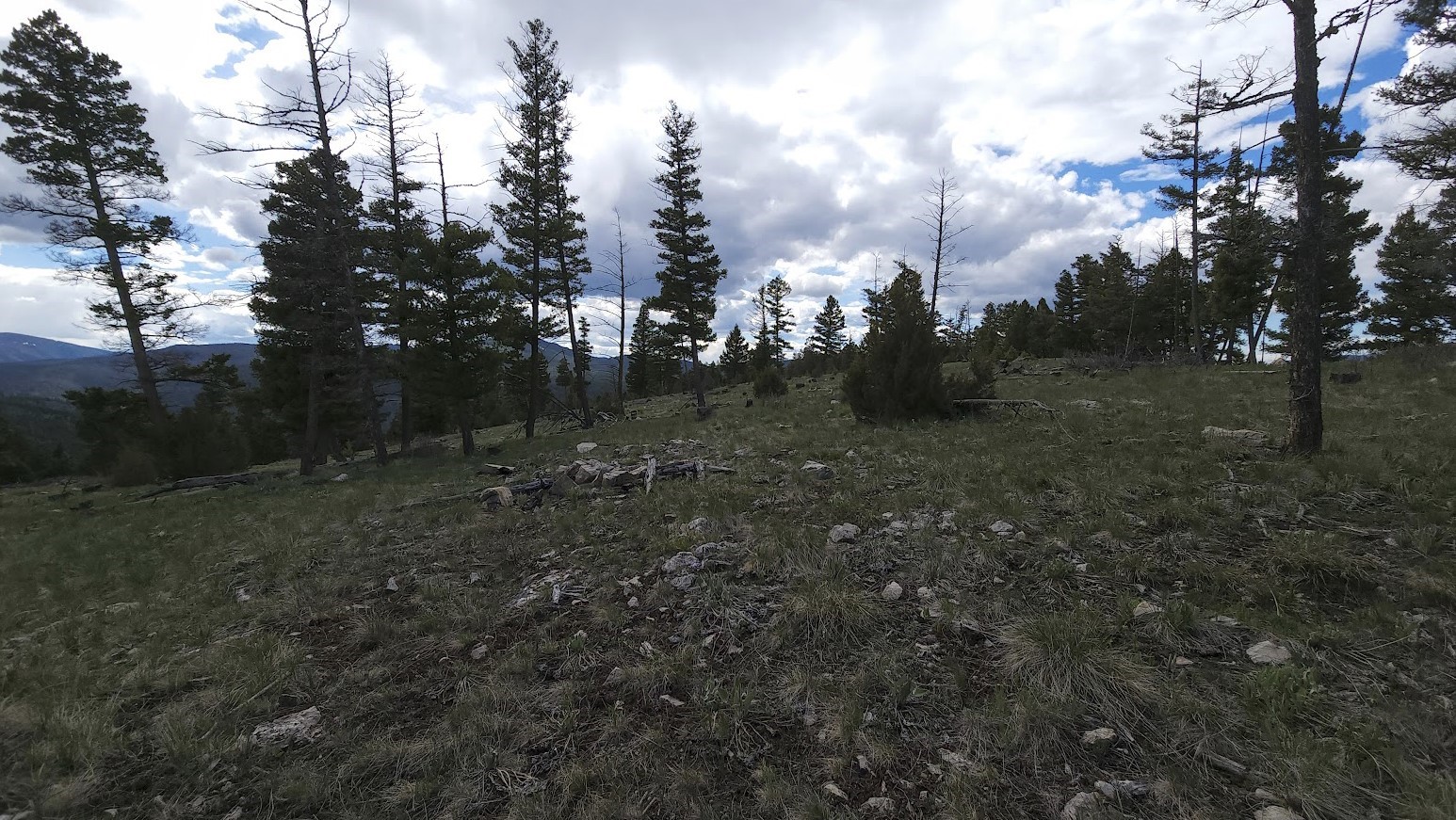 10 & 11 Bull Elk Property Photo 6