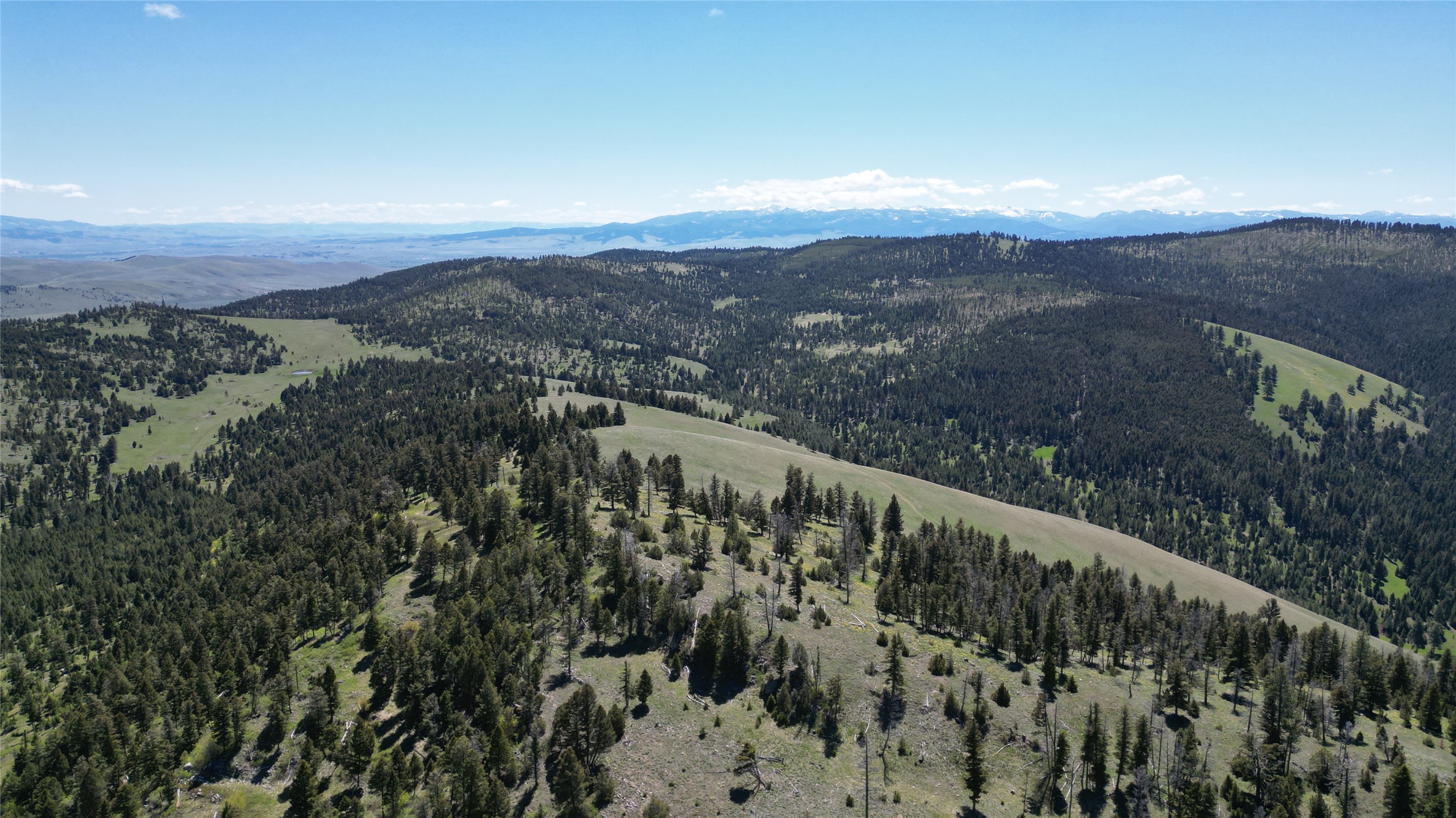 10 & 11 Bull Elk Property Photo 10