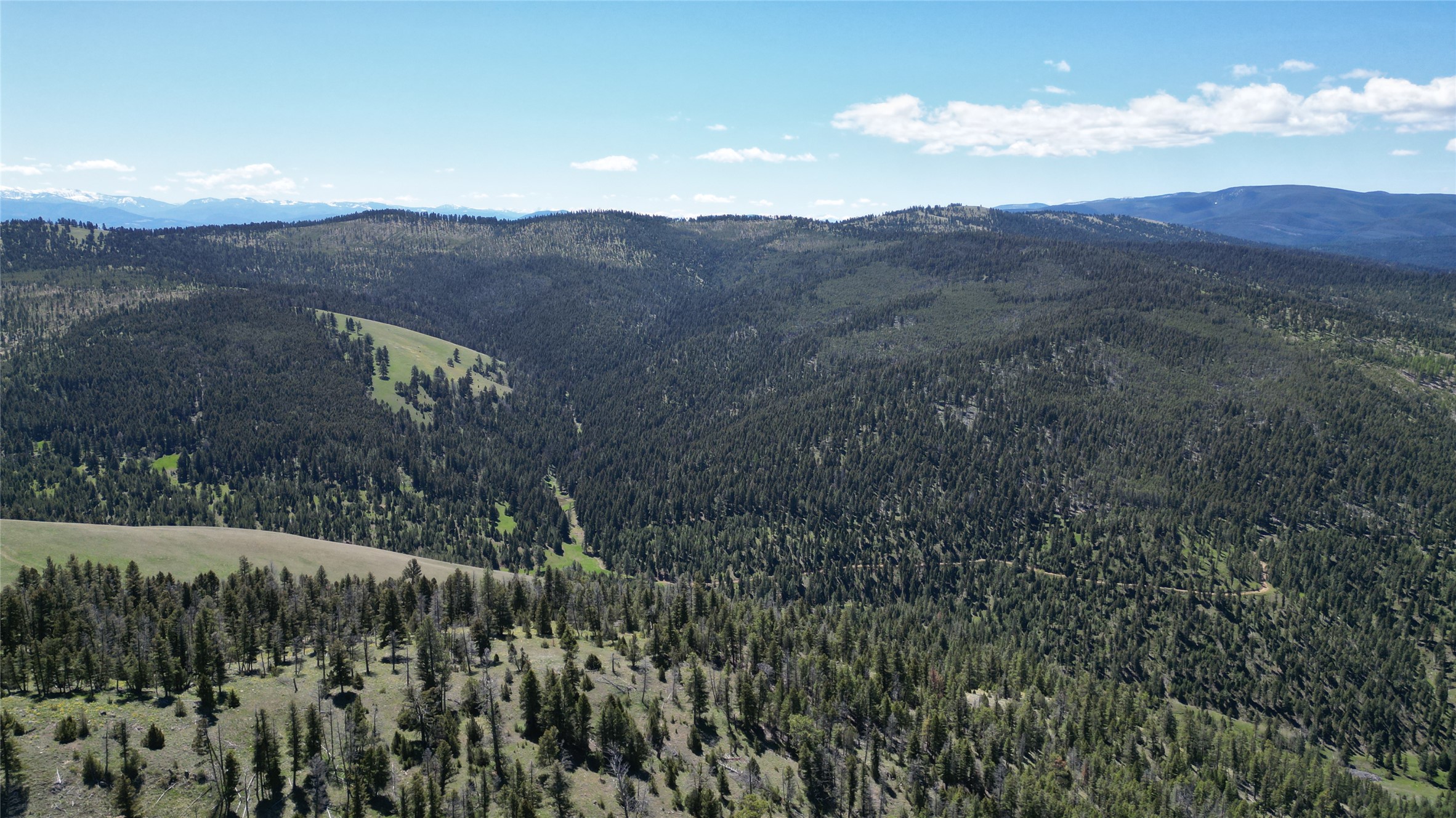 10 & 11 Bull Elk Property Photo 11