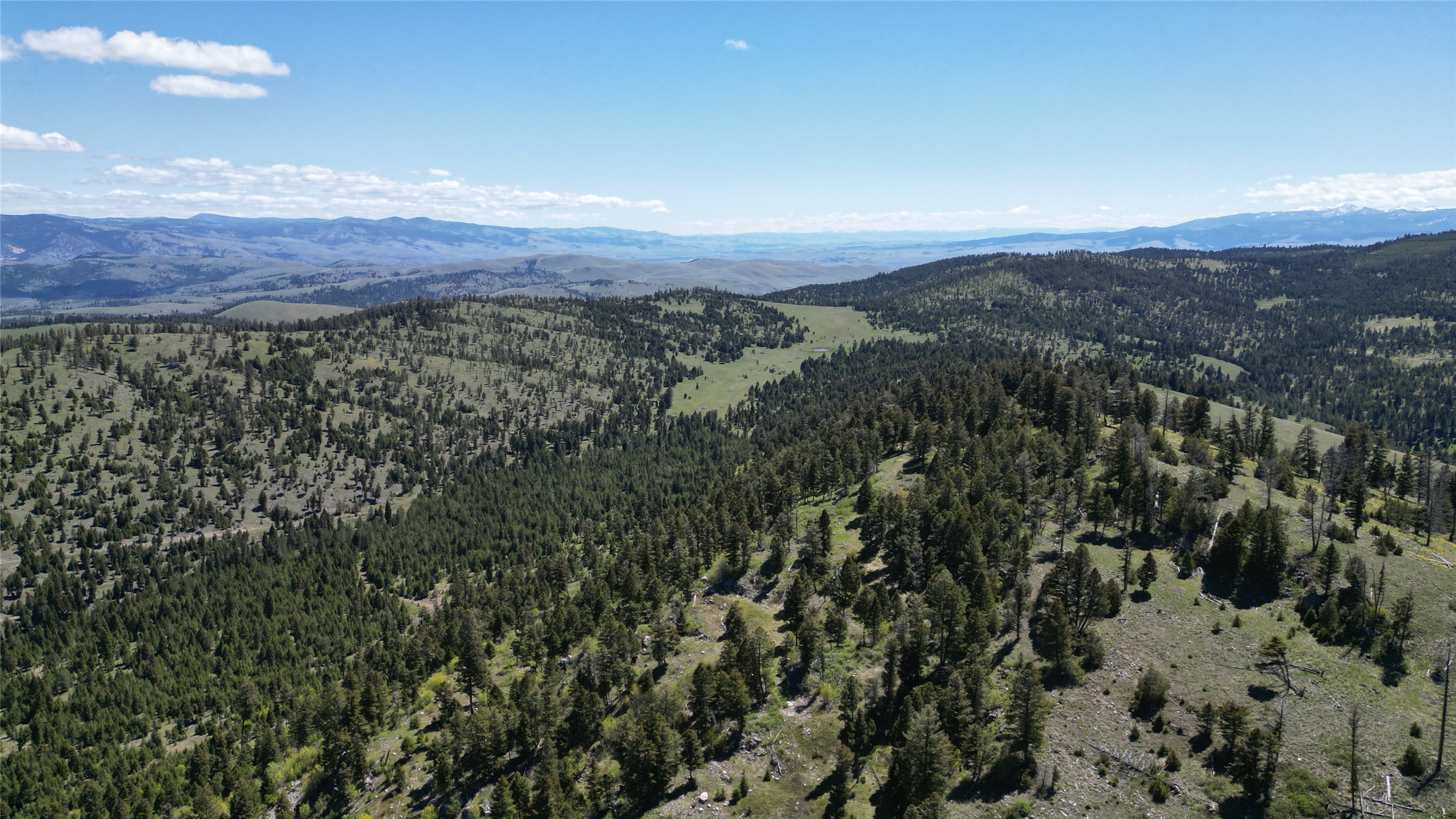 10 & 11 Bull Elk Property Photo 17