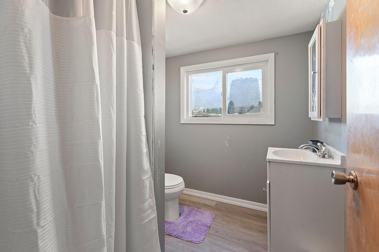 1335 Sampson Street Property Photo 22
