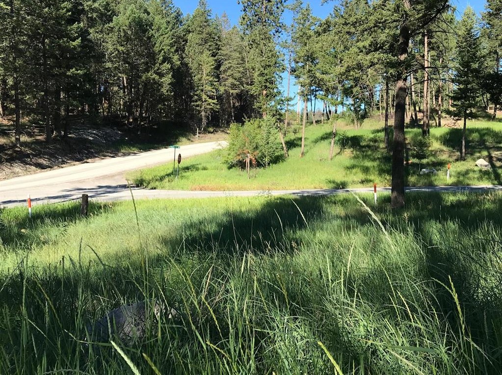 Lot 2 Black Lake Road Property Photo 4