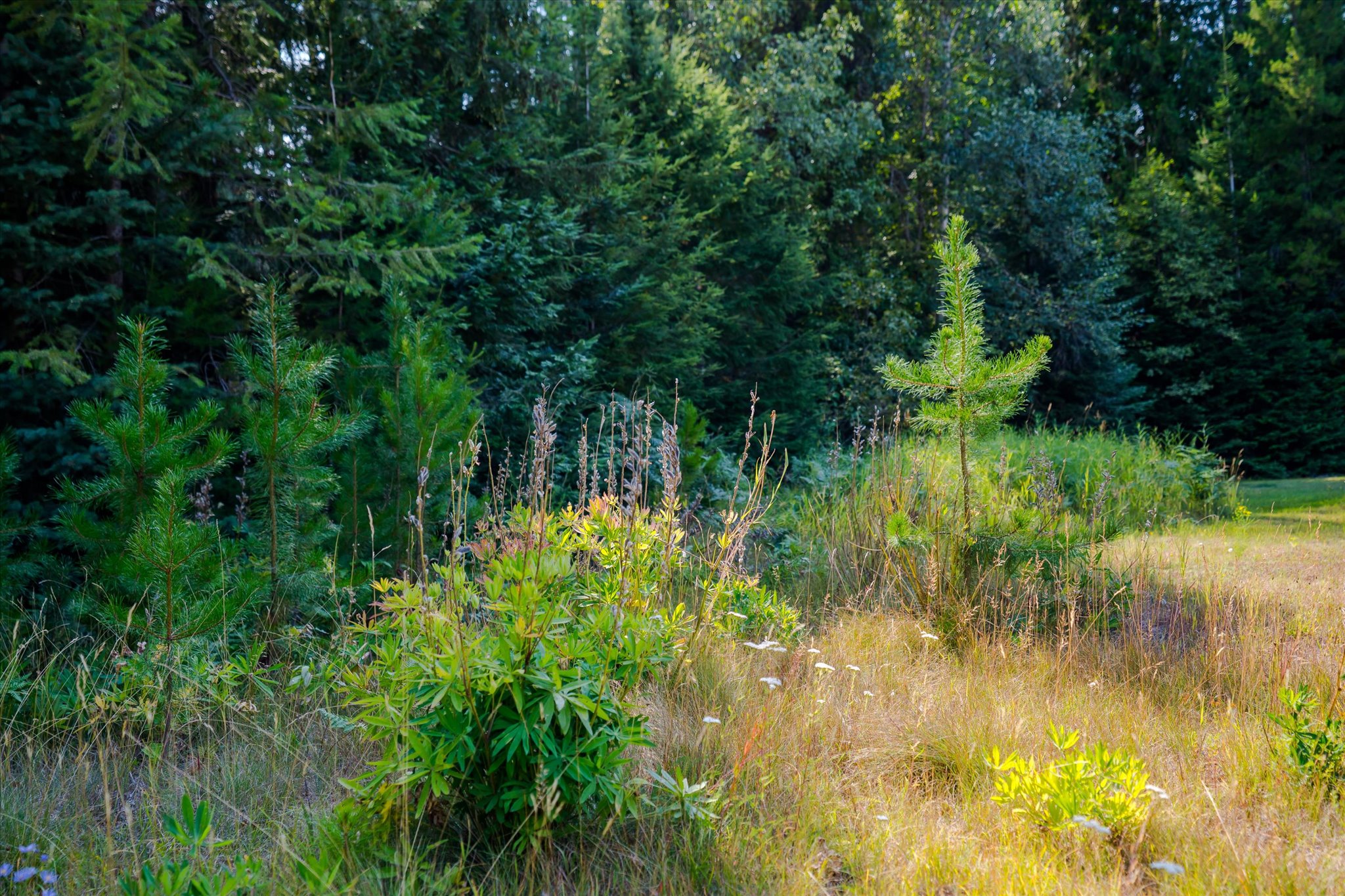 1041 Kern Road Property Photo 45