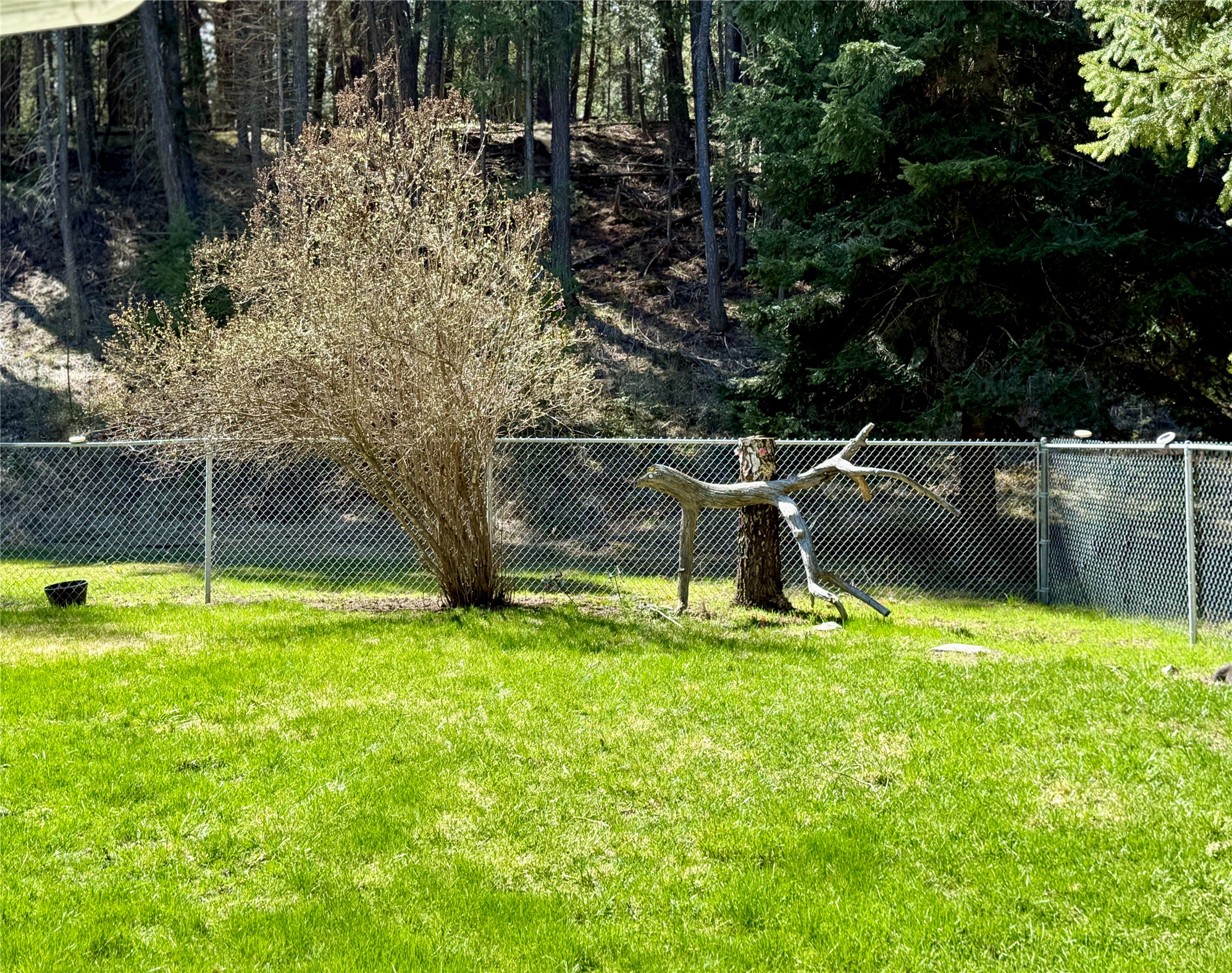 320 Remps Road Property Photo 5
