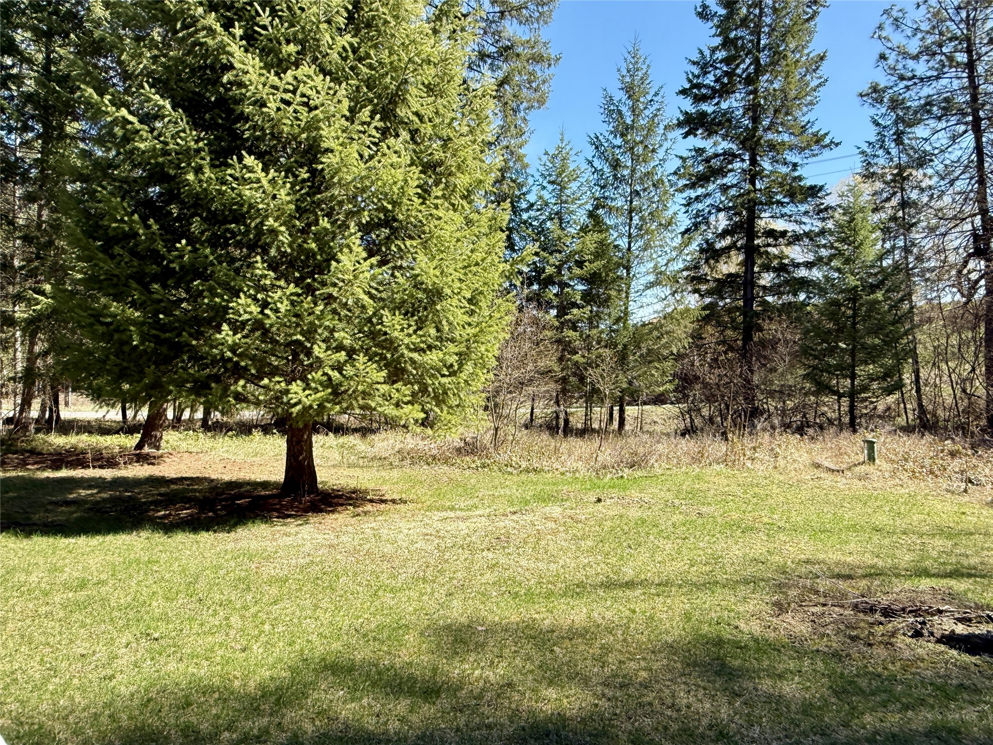 320 Remps Road Property Photo 7