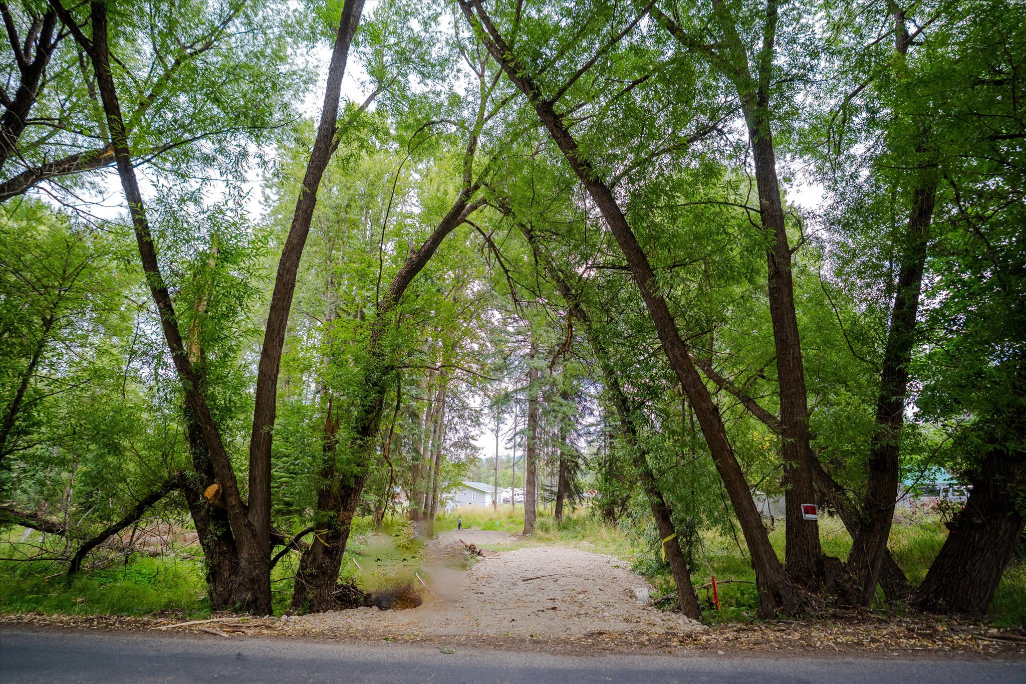 98 Dome Mountain Avenue Property Photo 1