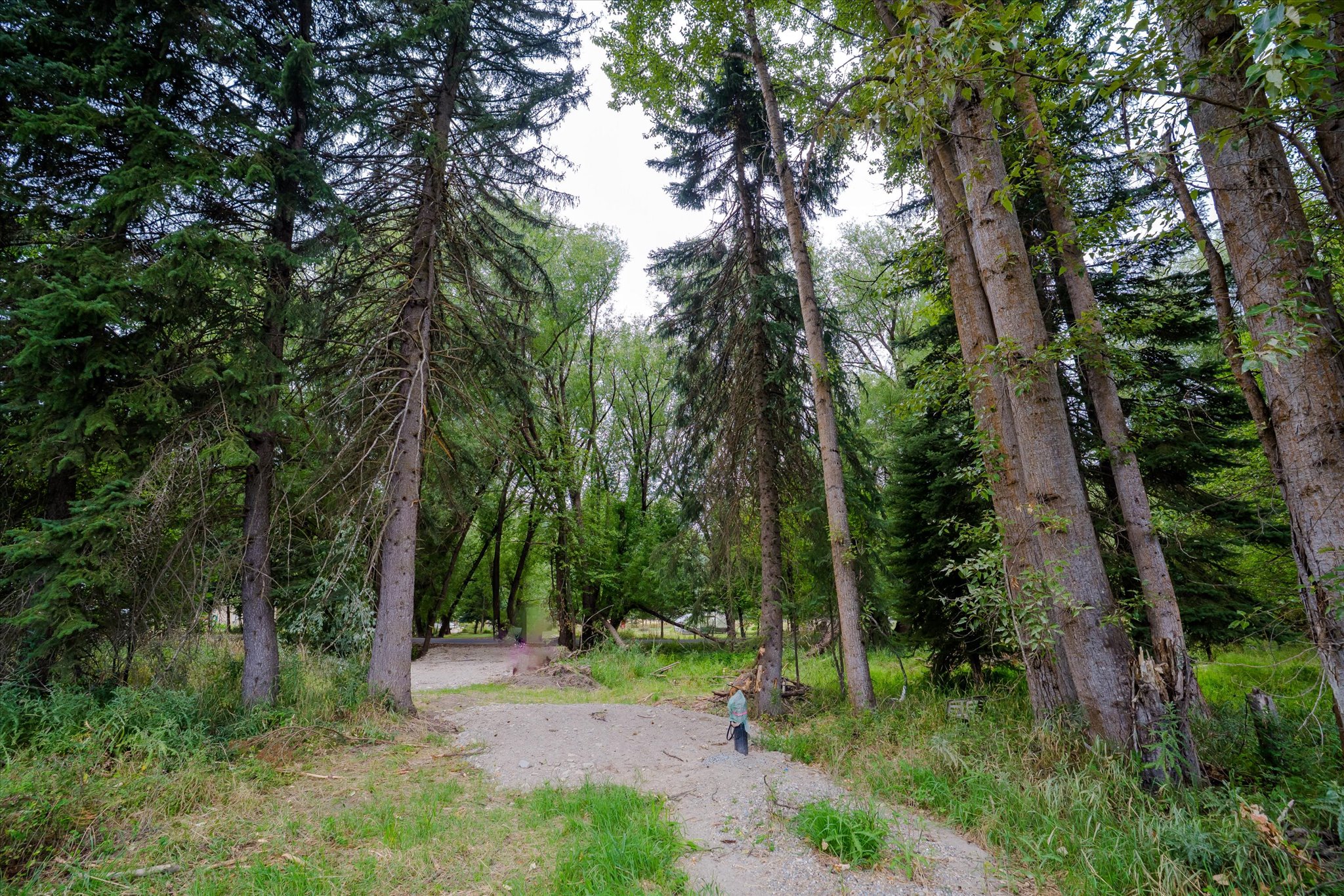 98 Dome Mountain Avenue Property Photo 2