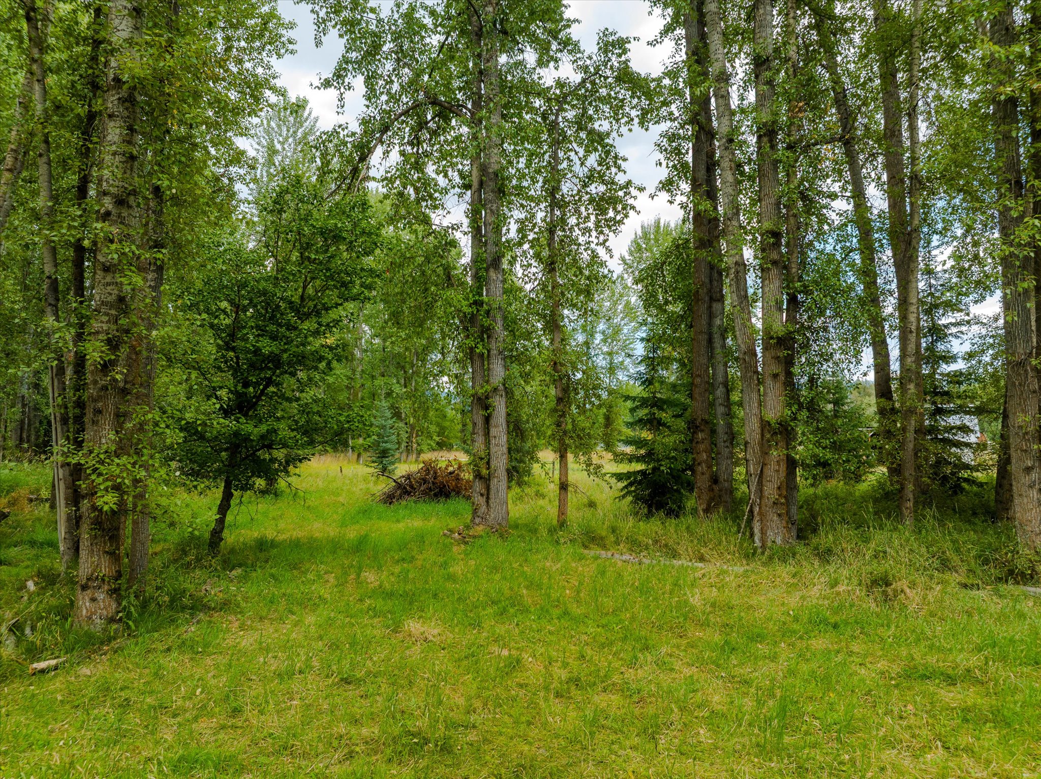 98 Dome Mountain Avenue Property Photo 4