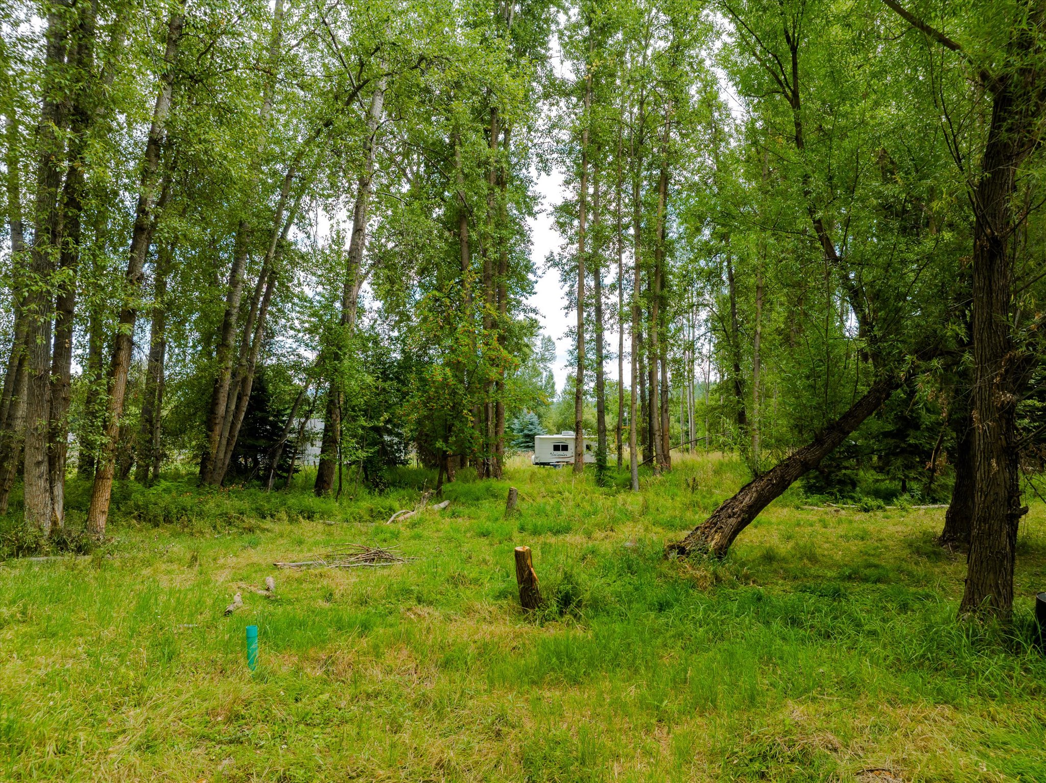 98 Dome Mountain Avenue Property Photo 6