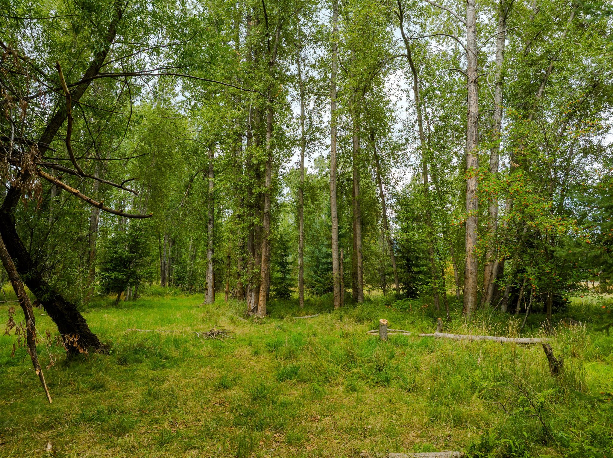 98 Dome Mountain Avenue Property Photo 7