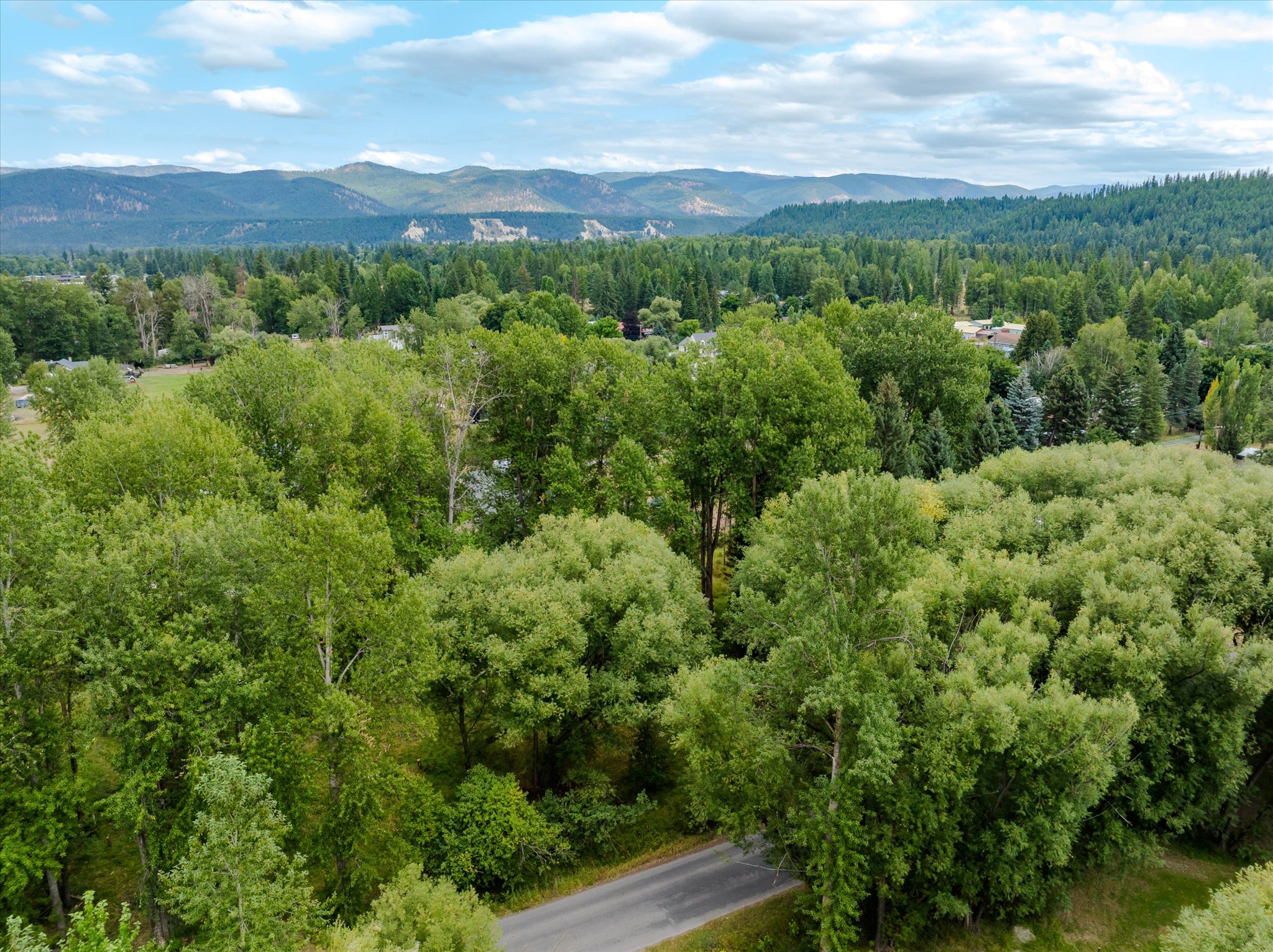 98 Dome Mountain Avenue Property Photo 16