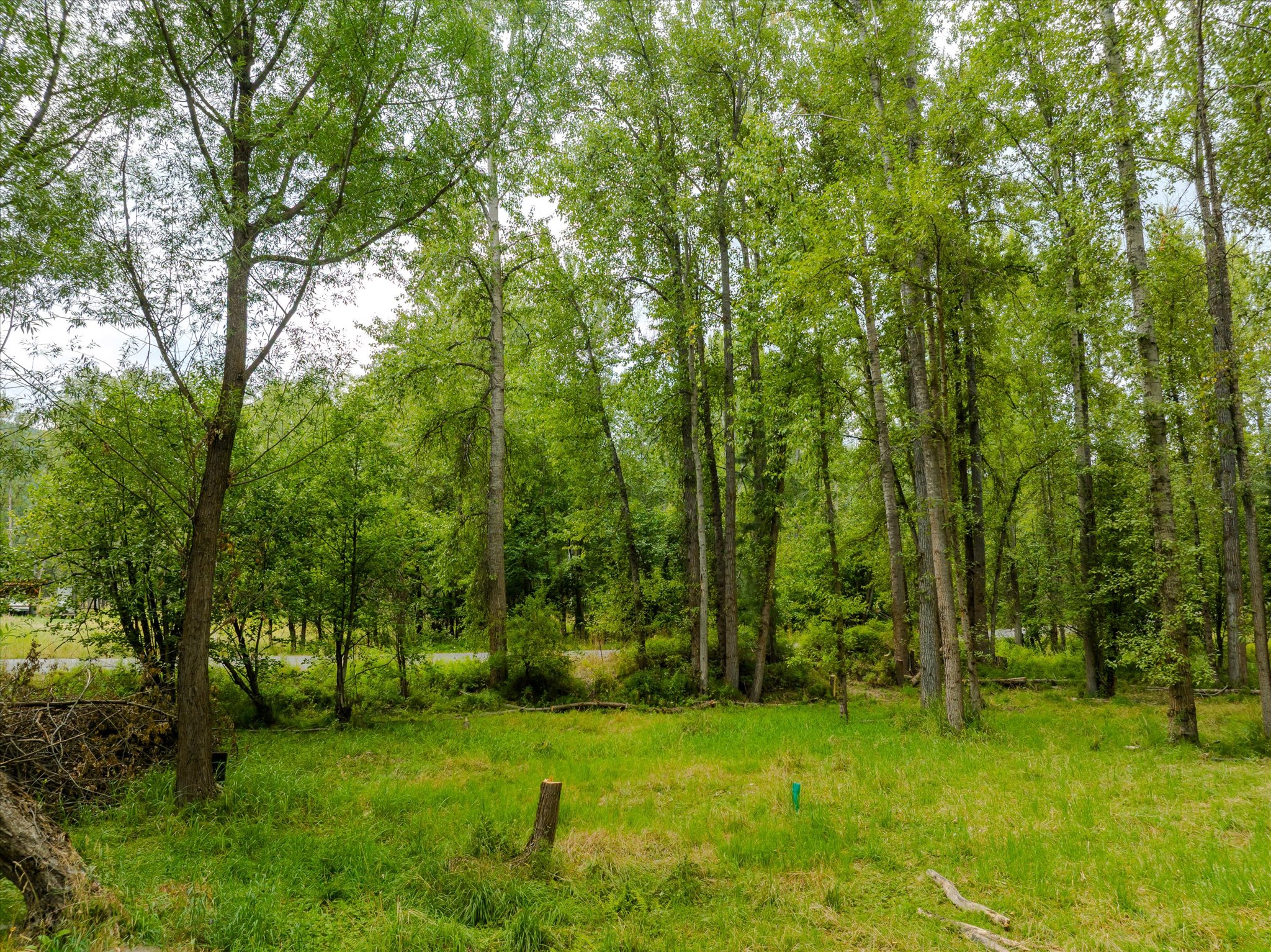 98 Dome Mountain Avenue Property Photo 18