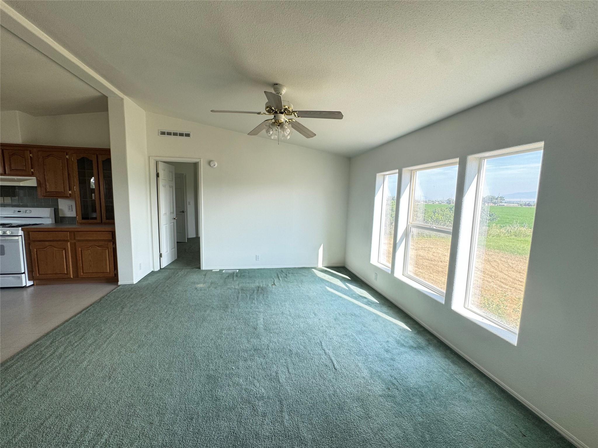 7155 Montana Avenue Property Photo 11