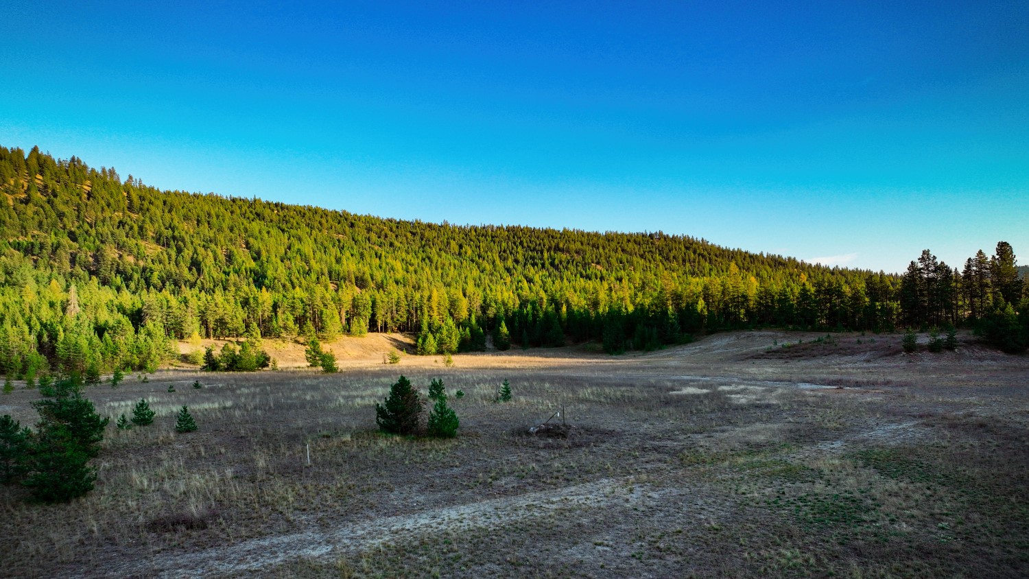 9330 Us Hwy 2 W Property Photo 31