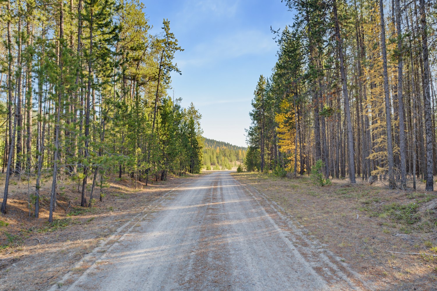 9330 Us Hwy 2 W Property Photo 8