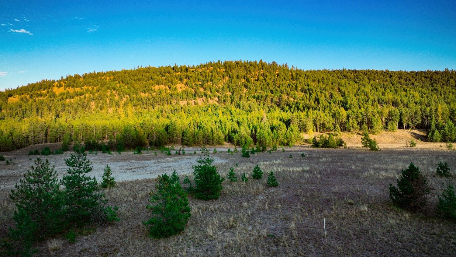 9330 Us Hwy 2 W Property Photo 31