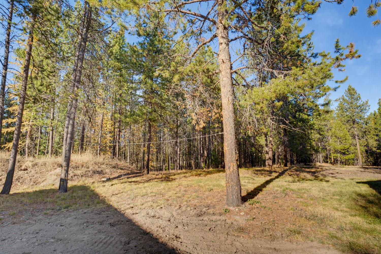 9330 Us Hwy 2 W Property Photo 34