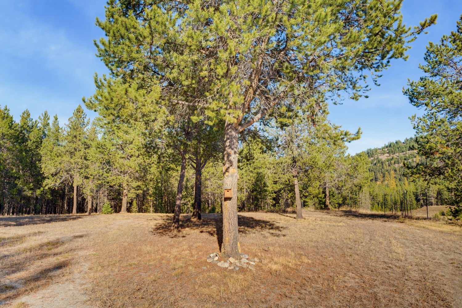 9330 Us Hwy 2 W Property Photo 35