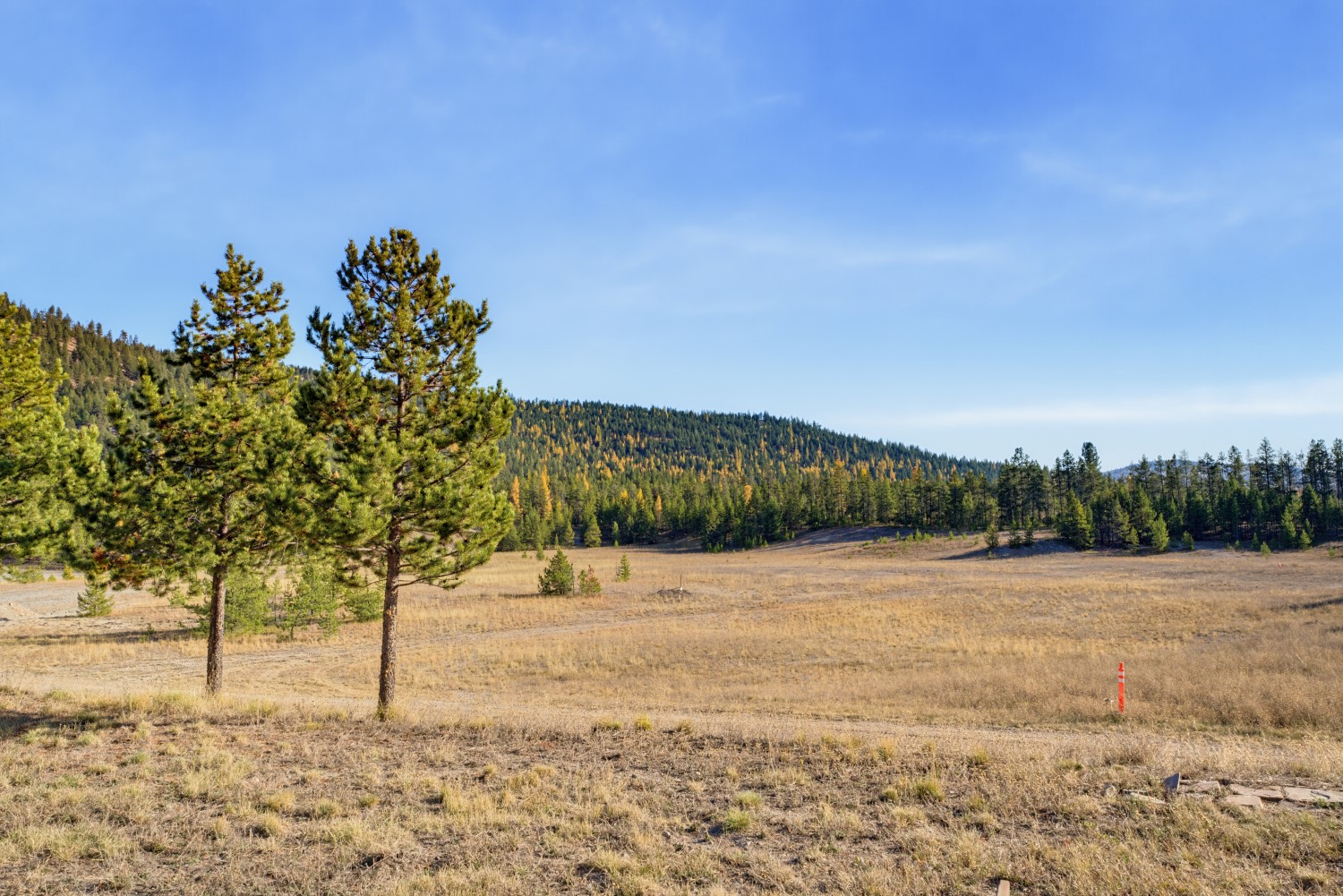 9330 Us Hwy 2 W Property Photo 53