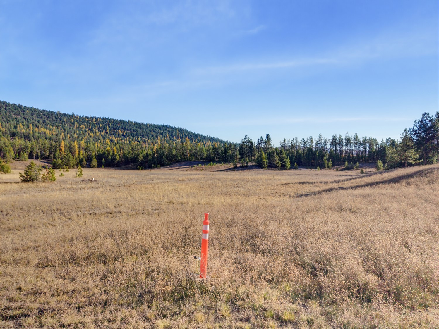 9330 Us Hwy 2 W Property Photo 55