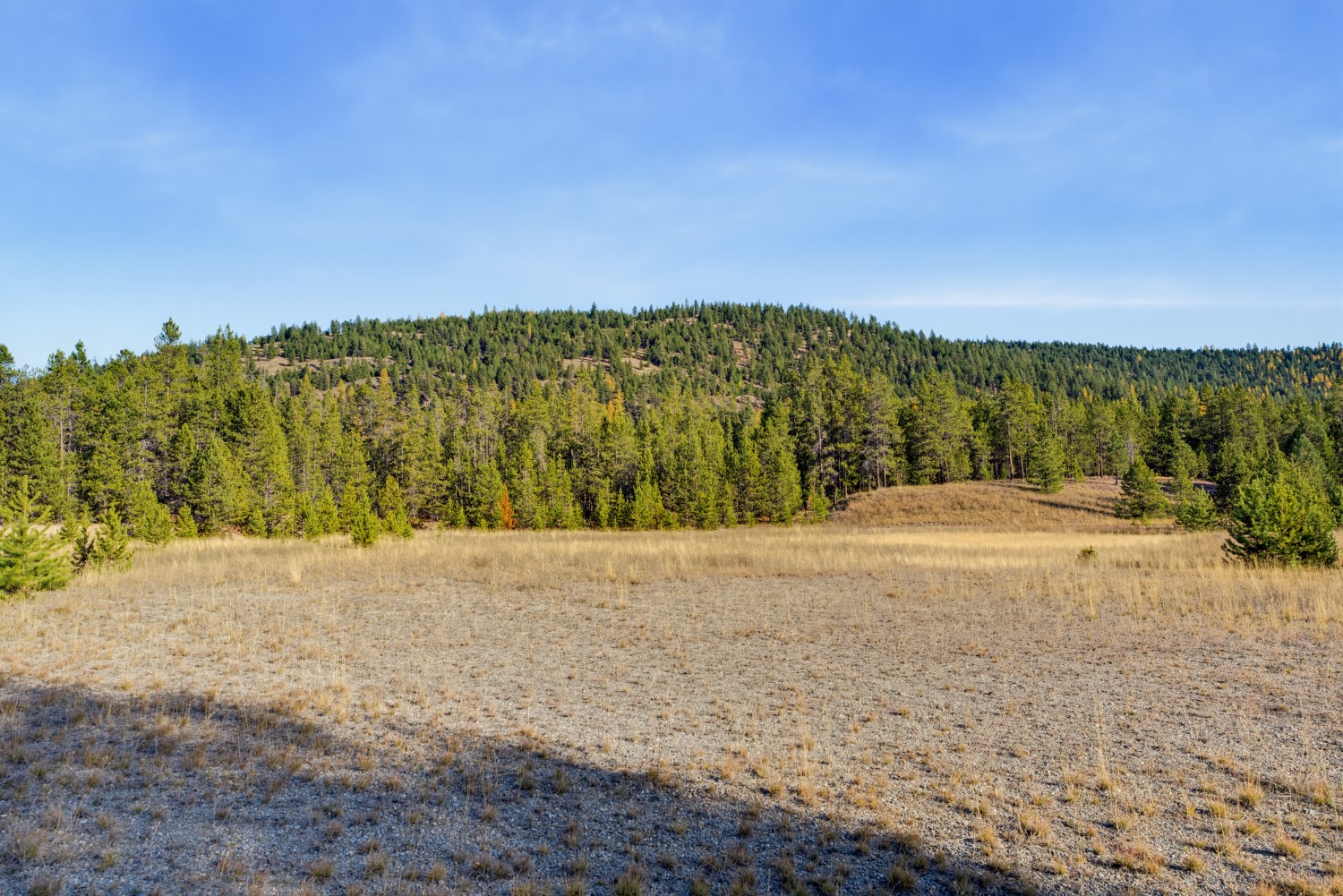 9330 Us Hwy 2 W Property Photo 56