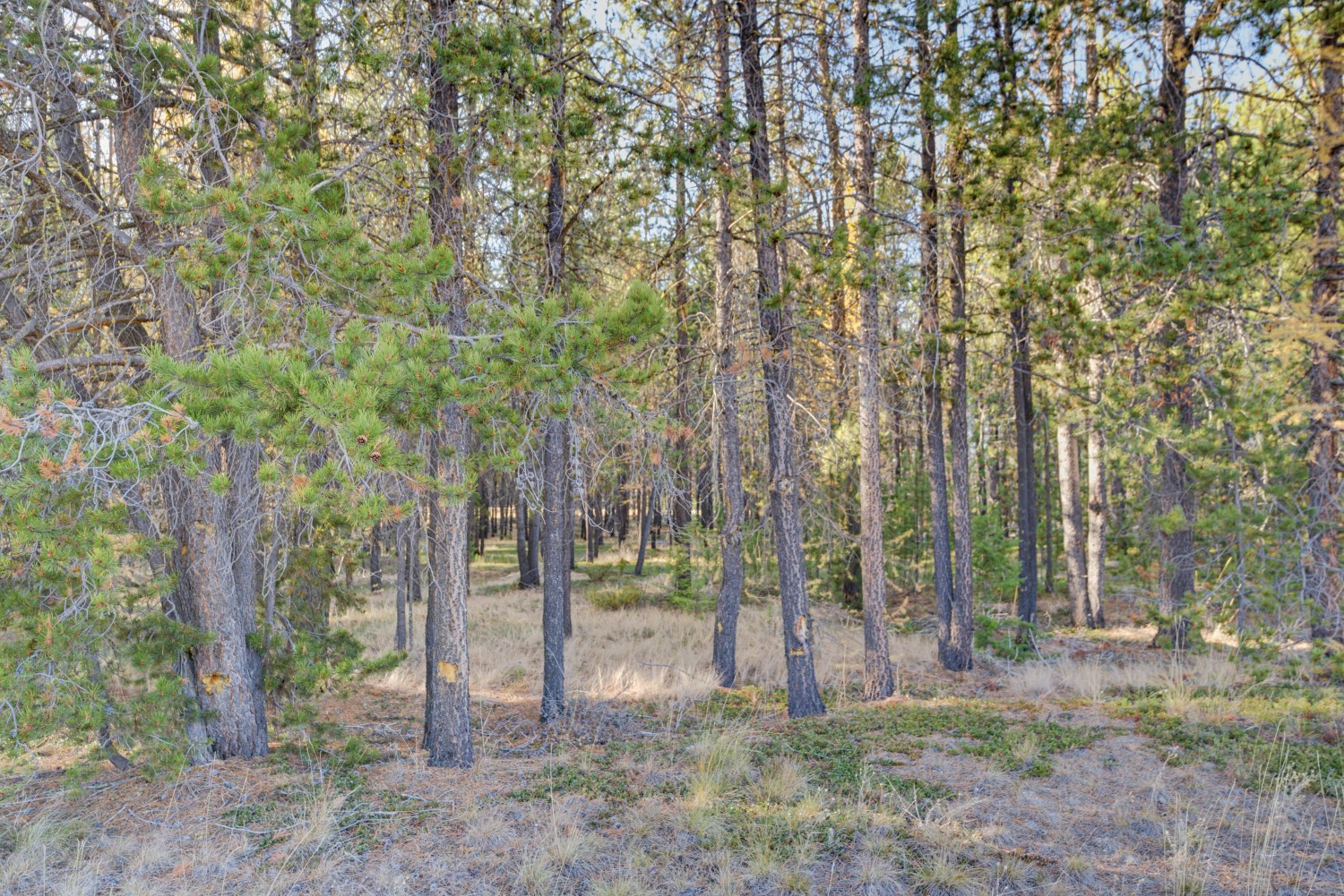 9330 Us Hwy 2 W Property Photo 57