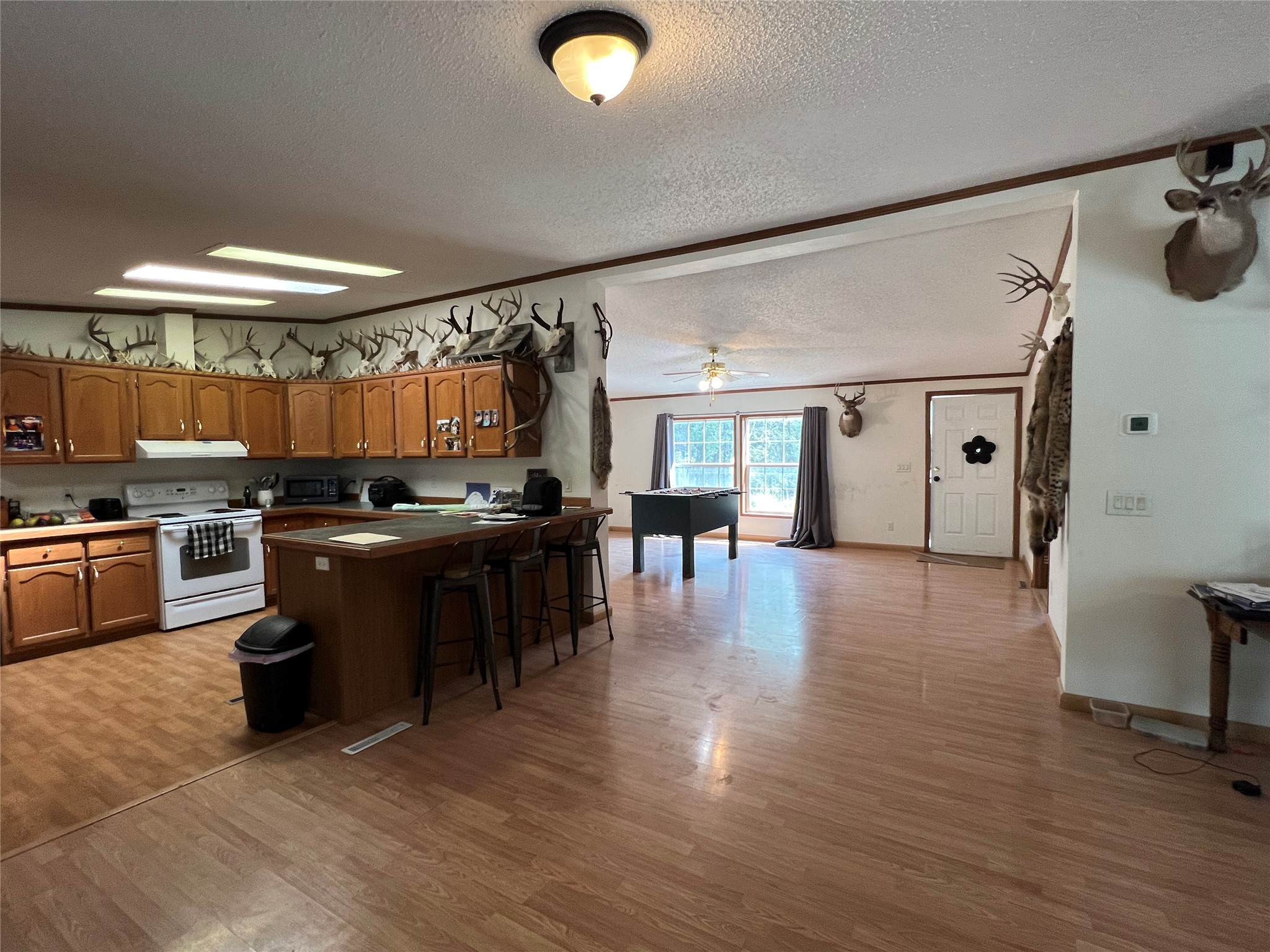 247 Whitetail Crossing Property Photo 5