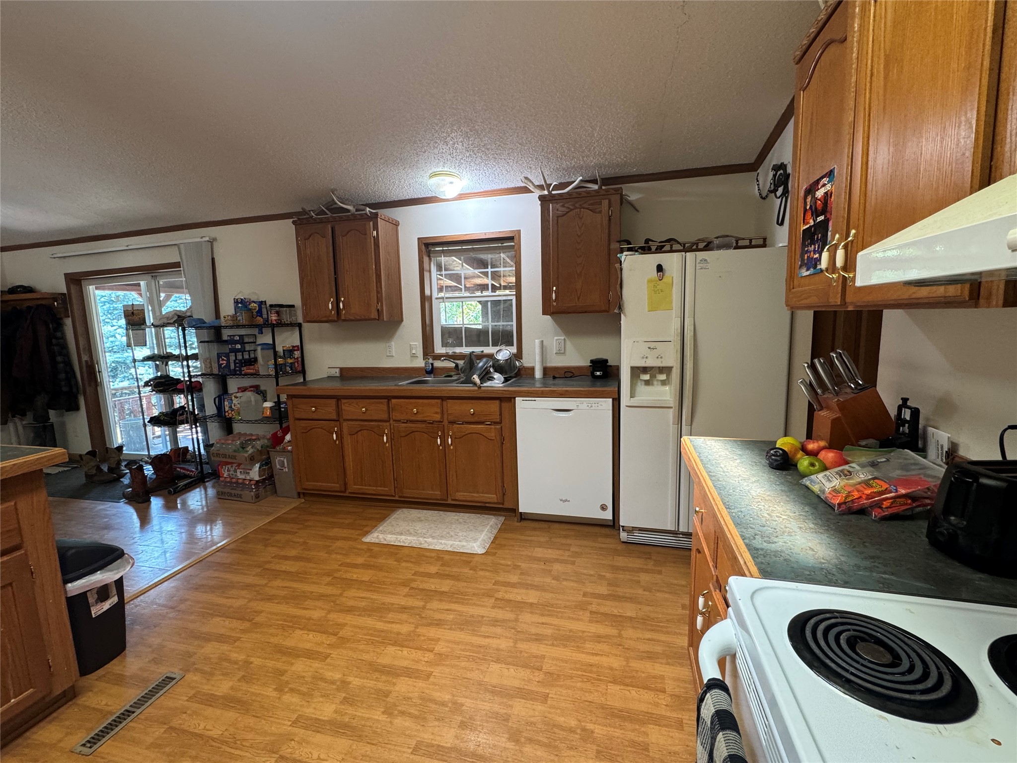 247 Whitetail Crossing Property Photo 6