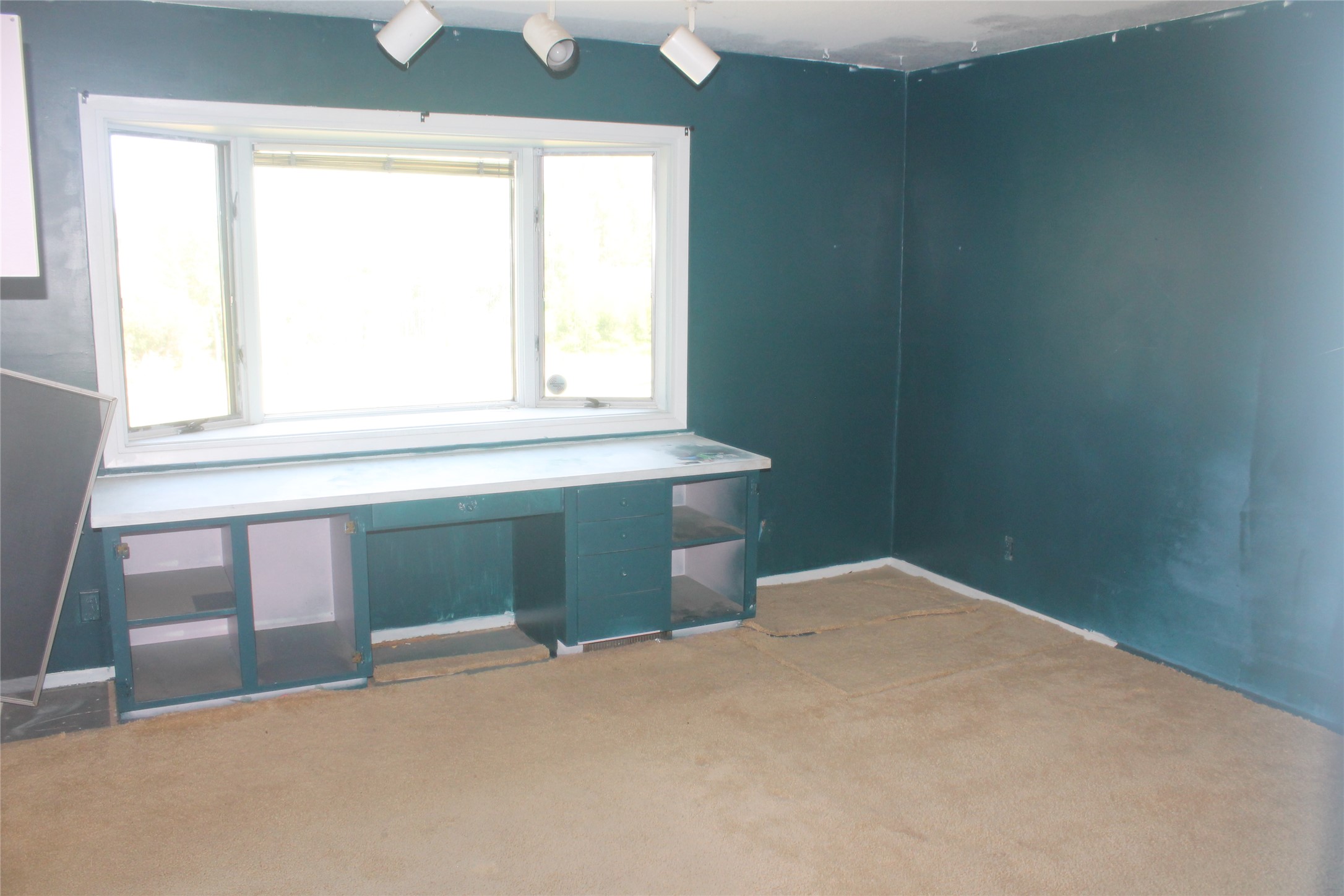 159 Westland Drive Property Photo 26
