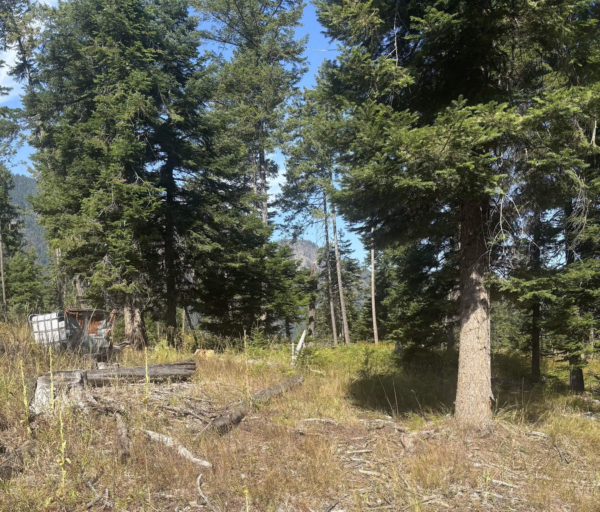 22 Flatiron Way Property Photo 8