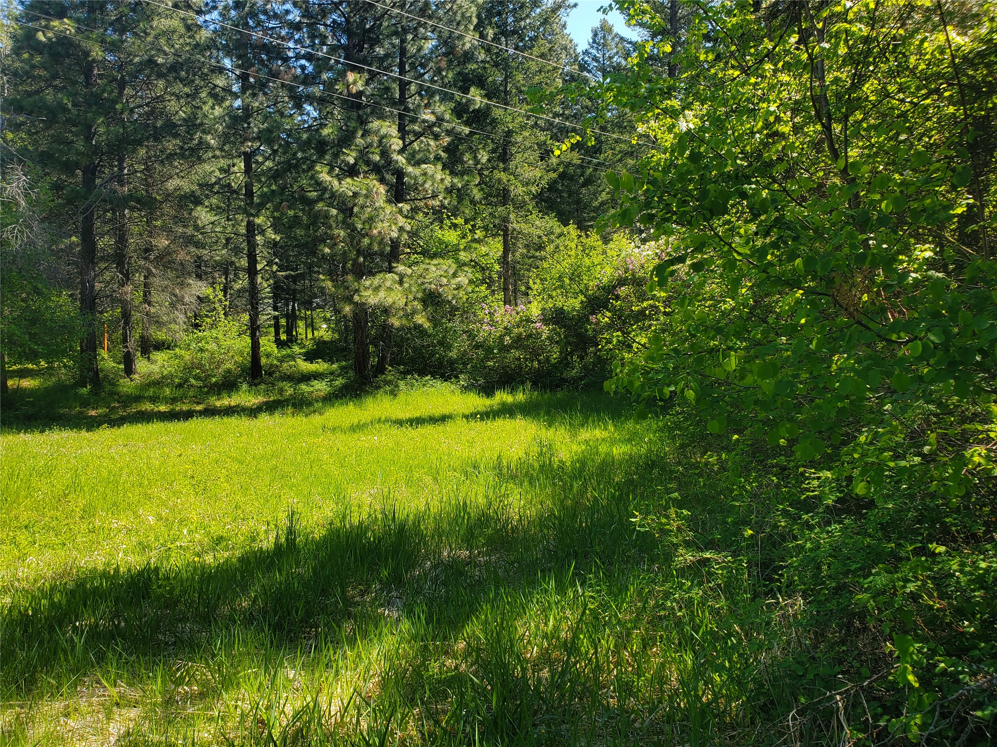 9127 Mt Highway 35 Property Photo 6
