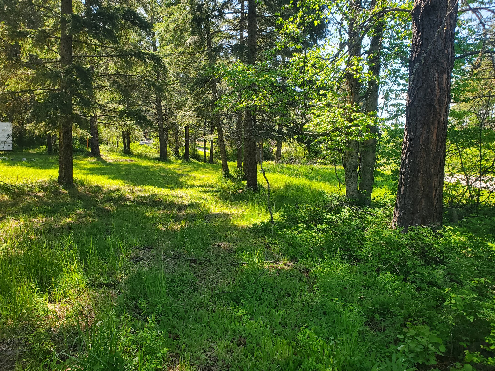9127 Mt Highway 35 Property Photo 7