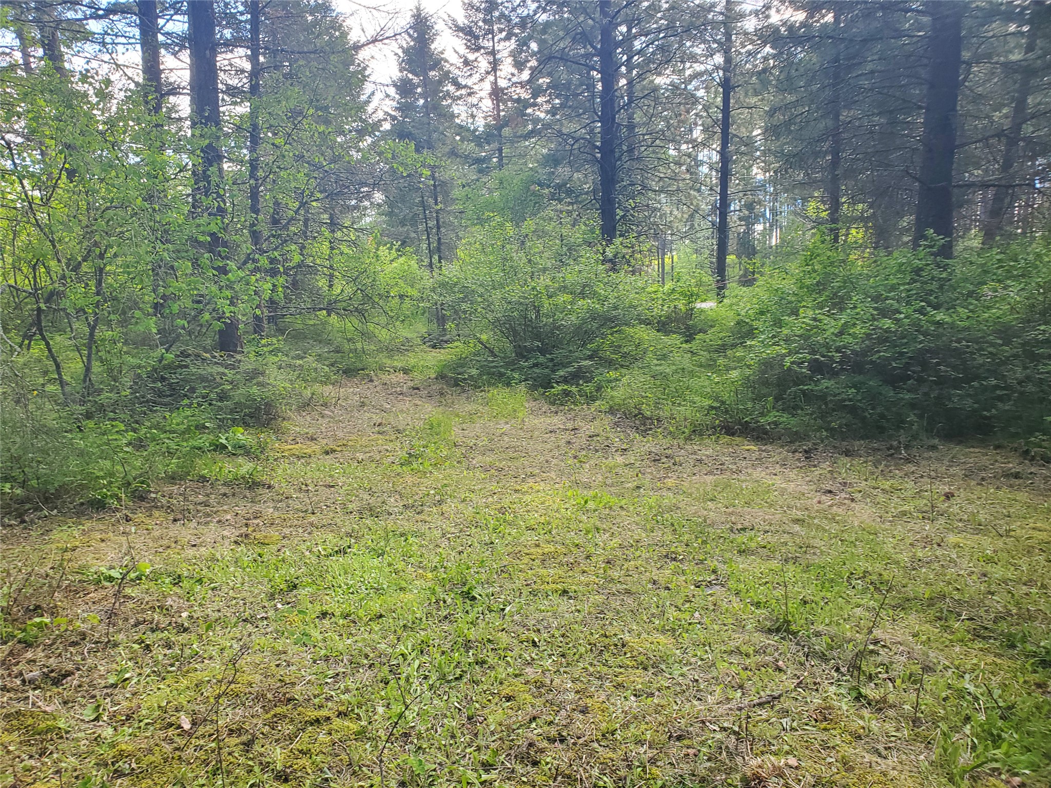 9127 Mt Highway 35 Property Photo 9