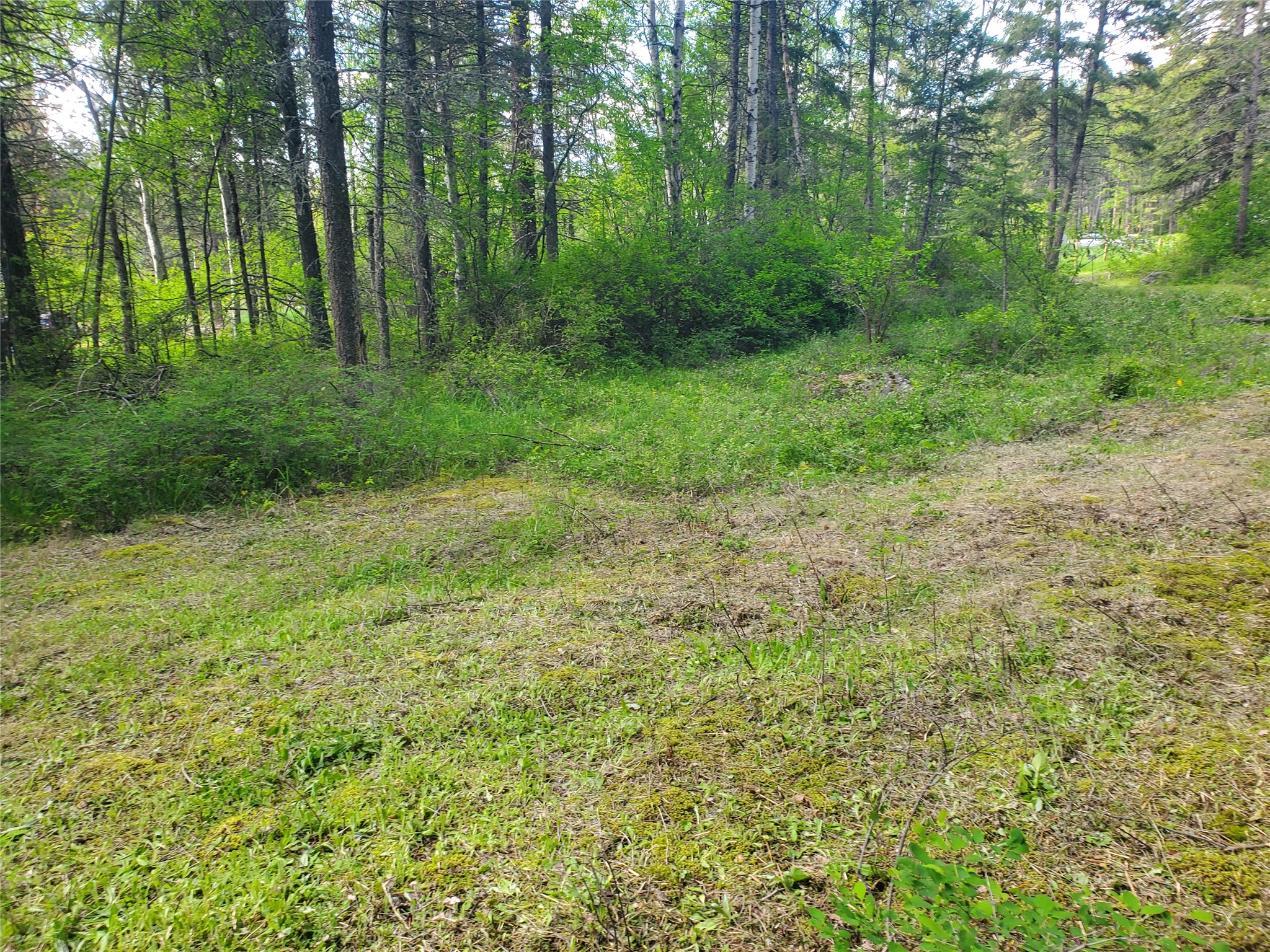 9127 Mt Highway 35 Property Photo 10
